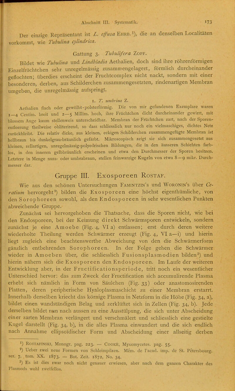 Der einzige Repräsentant ist L, efusa Ehrb. i), die an denselben Localitäten vorkommt, wie TubuUna cyUndrica. Gattung 3. Tiibulifera Zopf. Bildet wie TuhuUna und Lindbladia Aetlialien, doch sind ihre röhrenförmigen Einzelfrüchtchen sehr unregelmässig zusammengelagert, förmlich durcheinander geflochten; überdies erscheint der Fruchtcomplex nicht nackt, sondern mit einer besonderen, derben, aus Schilderchen zusammengesetzten, rindenartigen Membran umgeben, die unregelmässig aufspringt. I. T. itmbrina Z. Aethalien flach oder gewölbt-polsterförmig. Die von mir gefundenen Exemplare waren 1—4 Centim. breit und 2—5 Millim. hoch, ihre Früchtchen dicht durcheinander gewirrt, mit blossem Auge kaum stellenweis unterscheidbar. Membran der Früchtchen zart, nach der Sporen- entleerung theilweise obliterirend, so dass schliesslich nur noch ein vielmaschiges, dichtes Netz zurückbleibt. Die relativ dicke, aus kleinen, eckigen Schilderchen zusammengefügte Membran ist hellbraun bis dunkelgrau-bräunlich gefärbt. Mikroscopisch zeigt sie sich zusammengesetzt aus kleinen, zellartigen, unregelmässig-polyedrischen Bildungen, die in den äusseren Schichten farb- los, in den inneren gelbbräunlich erscheinen und etwa den Durchmesser der Sporen besitzen. Letztere in Menge nuss- oder umbrabraun, stellen feinwarzige Kugeln von etwa 8—9 mikr. Durch- messer dar. Gruppe III. Exosporeen Rostaf. Wie aus den schönen Untersuchungen Famintzin's und Woronin's über Ce- ratium hervorgeht^) bilden die Exosporeen eine höchst eigenthümUche, von den Sorophoreen sowohl, als den Endosporeen in sehr wesentlichen Punkten abweichende Gruppe. Zunächst sei hervorgehoben die Thatsache, dass die Sporen nicht, wie bei den Endosporeen, bei der Keimung direkt Schwärmsporen entwickeln, sondern zunächst je eine Amoebe (Fig. 4, Via) entlassen; erst durch deren weitere wiederholte Theilung werden Schwärmer erzeugt (Fig. 4, VI a—i) und hierin liegt zugleich eine beachtenswerthe Abweichung von den die Schwärmerform gänzlich entbehrenden Sorophoreen. In der Folge gehen die Schwärmer wieder in Amoeben über, die schliesslich Fusionsplasmodien bilden^) und hierin nähern sich die Exosporeen den Endosporeen. Im Laufe der weiteren Entwicklung aber, in der Fructificationsperiode, tritt noch ein wesentlicher Unterschied heiTor: das zum Zweck der Fructification sich accumulirende Plasma erhebt sich nämlich in Form von Säulchen (Fig. 33) oder anastomosirenden Platten, deren peripherische Hyaloplasmaschicht zu einer Membran erstarrt. Innerhalb derselben kriecht das körnige Plasma in Netzform in die Höhe (Fig. 34, a), bildet einen wandständigen Belag und zerklüftet sich in Zellen (Fig. 34, b). Jede derselben bildet nwn nach aussen zu eine Ausstülpung, die sich unter Abscheidung einer zarten Membran verlängert und verschmälert und schliesslich eine gestielte Kugel darstellt (Fig. 34, b), in die alles Plasma einwandert und die sich endlich nach Annahme ellipsoidischer Form und Abscheidung einer allseitig derben ■) RosTAFiNSicr, Monogr. png. 223. — Cooke, Myxomycetes. pag. 55. '^) Ueber zwei neue Formen von Schleimpilzcn. Mem. de l'acad. imp. de St. Petersbourg. ser. 7. tom. XX. 1873. — Bot. Zeit. 1872, No. 34. 3) Es ist dies zwar noch nicht genauer erwiesen, aber nach dem ganzen Charakter des Plasmods wohl zweifellos.