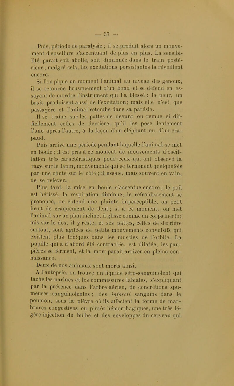 Puis, période de paralysie ; il se produit alors un mouve- ment d'ensellure s'accentuant de plus en plus. La sensibi- lité parait soit abolie, soit diminuée dans le train posté- rieur ; malgré cela, les excitations persistantes la réveillent encore. Si l'on pique un moment l'animal au niveau des genoux, il se retourne brusqueuienl d'un bond et se défend en es- sayant de mordre l'instrument qui l'a blessé ; la peur, un bruit, produisent aussi de l'excitation; mais elle n'est que passagère et l'animal retombe dans sa parésie. Il se traîne sur les pattes de devant ou remue si dif- ficilement celles de derrière, qu'il les pose lentement l'une après l'autre, à la façon d'un éléphant ou d'un cra- paud. Puis arrive une période pendant laquelle l'animal se met en boule; il est pris à ce moment de mouvements d'oscil- lation très caractéristiques pour ceux qui ont observé la rage sur le lapin, mouvements qui se terminent quelquefois par une chute sur le côté ; il essaie, mais souvent en vain, de se relever. Plus tard, la mise en boule s'accentue encore ; le poil est hérissé, la respiriition diminue, le refroidissement se prononce, on entend une plainte imperceptible, un petit bruit de craquement de dent; si à ce moment, on met l'animal sur un plan incliné, il glisse comme un corps inerte ; mis sur le dos, il y reste, et ses pattes, celles de derrière surtout, sont agitées de petits mouvements convulsifs qui existent plus toniques dans les muscles de l'orbite. La pupille qui a d'abord été contractée, est dilatée, les pau- pières se ferment, et la mort paraît arriver en pleine con- naissance. Deux de nos animaux sont morts ainsi. A l'autopsie, on trouve un liquide séro-sanguinolent qui tache les narines et les commissures labiales, s'expliquant par la présence dans l'arbre aérien, de concrétions spu- meuses sanguinolentes ; des infarcti sanguins dans le poumon, sous la plèvre où ils affectent la forme de mar- brures congestives ou plutôt hémorrhagiques, une très lé- gère injection du bulbe et des enveloppes du cerveau qui