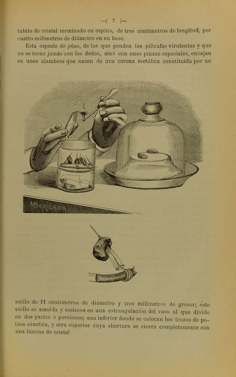 tubito de cristal terminado en espina, de tres centímetros de longitud, por cuatro milímetros de diámetro en su base. Esta especie de púas, de las que penden las. piltrafas virulentas y que no se tocan jamás con los dedos, sinó con unas pinzas especiales, encajan en unos alambres que nacen de una corona metálica constituida por un anillo de 11 centímetros de diámetro y tres milímetros de grosor; éste anillo se amolda y sostiene en una estrangulación del vaso al que divide en dos partes ó porciones; una inferior donde se colocan los trozos de po- tasa cáustica, y otra superior cuya abertura se cierra completamente con una lámina de cristal