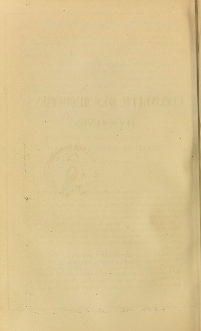 digitised image 2