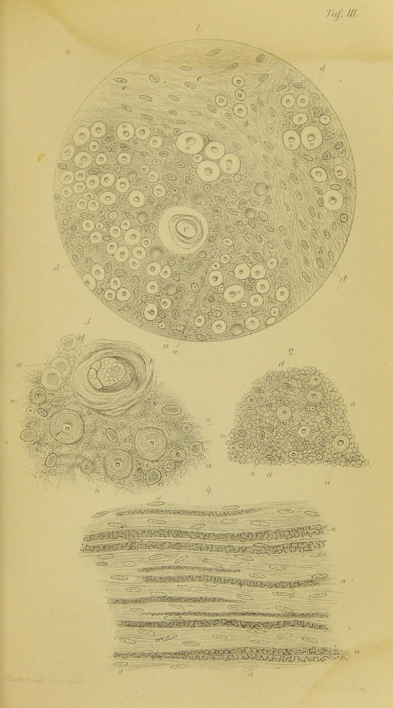 / /;//: /// () HV.; 19