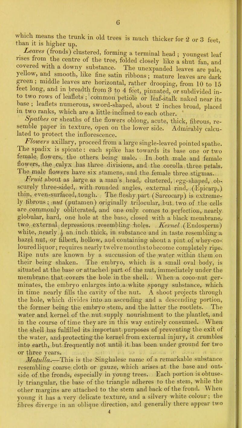 which means the trunk in old trees is much thicker for 2 or 3 feet than it is higher up. ' Leaves (fronds) clustered, forming a terminal head ; youngest leaf rises from the centre of the tree, folded closely like a shut fan, and covered with a downy substance. The unexpanded leaves are pale, yellow, and smooth, like fine satin ribbons; mature leaves are dark green; middle leaves are horizontal, rather drooping, from 10 to 15 feet long, and in breadth from 3 to 4 feet, pinnated, or subdivided in- to two rows of leaflets ; common petiole or leaf-stalk naked near its base ; leaflets numerous, sword-shaped, about 2 inches broad, placed in two ranks, which are a little-inclined to each other. ' Spathes or sheaths of the flowers oblong, acute, thick, fibrous, re- semble paper in texture, open on the lower side. Admirably calcu- lated to protect the inflorescence. Flowers axillary, proceed from a large single-leaved pointed spathe. The spadix is spicate: each spike has towards its base one or two female flowers, the others being male. In both male and female flowers, the .calyx has three divisions, and the corolla three petals. The male flowers have six stamens, and the female three stigmas. Fruit about as large, as a man's head, clustered,. egg-shaped, .ob-, scurely three-sided, with rounded angles, external rind, (Epicarp,) thin, even-surfaced, tough. The fleshy part (Sarcocarp) is extreme- ly tibrous; tnut (putamen) originally trilocular, but, two of the cells are.commonly obliterated, and one only comes to perfection, nearly globular, hard, one hole at the base, closed with a black membrane, two external depressions resembling -holes. Kernel (Endosperm) white, nearly. £ an inch thick, in substance and in taste resembling .a hazel nut, or filbert, hollow, and containing about a pint of whey-co-, loured liquor; requires nearly twelve months to become completely ripe. Ripe nuts are known by a succussion of the water within them .on their being shaken. The embryo, which is a small oval body, is situated at the base or attached part of the nut, immediately under the membrane that, covers the hole in the shell. When a coco-nut ger- minates, the embryo enlarges into a white ,spongy substance, which in time nearly fills the cavity of the nut. A shoot projects through the hole, which divides into an ascending and a descending portion, the former being the embryo stem, and the latter the rootlets. The water and kernel of the. nut supply nourishment to the plantlet, and in the course of time they are in this way entirely consumed. When the shell has fulfilled its important purposes of preventing the exit of the water, and;protecting the kernel from external injury, it crumbles into earth, but frequently not until it. has been under ground for two or three years, . ..> > •< . . Matulla.—This is the Singhalese name of a remarkable substance resembling coarse cloth or gauze, which arises at the base and out- side of the fronds, especially in young trees. Each portion is obtuse- ly triangular, the base of the triangle adheres to the stern, while the other margins are attached to the stem and back of the frond. When young it has a very delicate texture, and a silvery white colour; the fibres diverge in an oblique direction, and generally there appear two 4