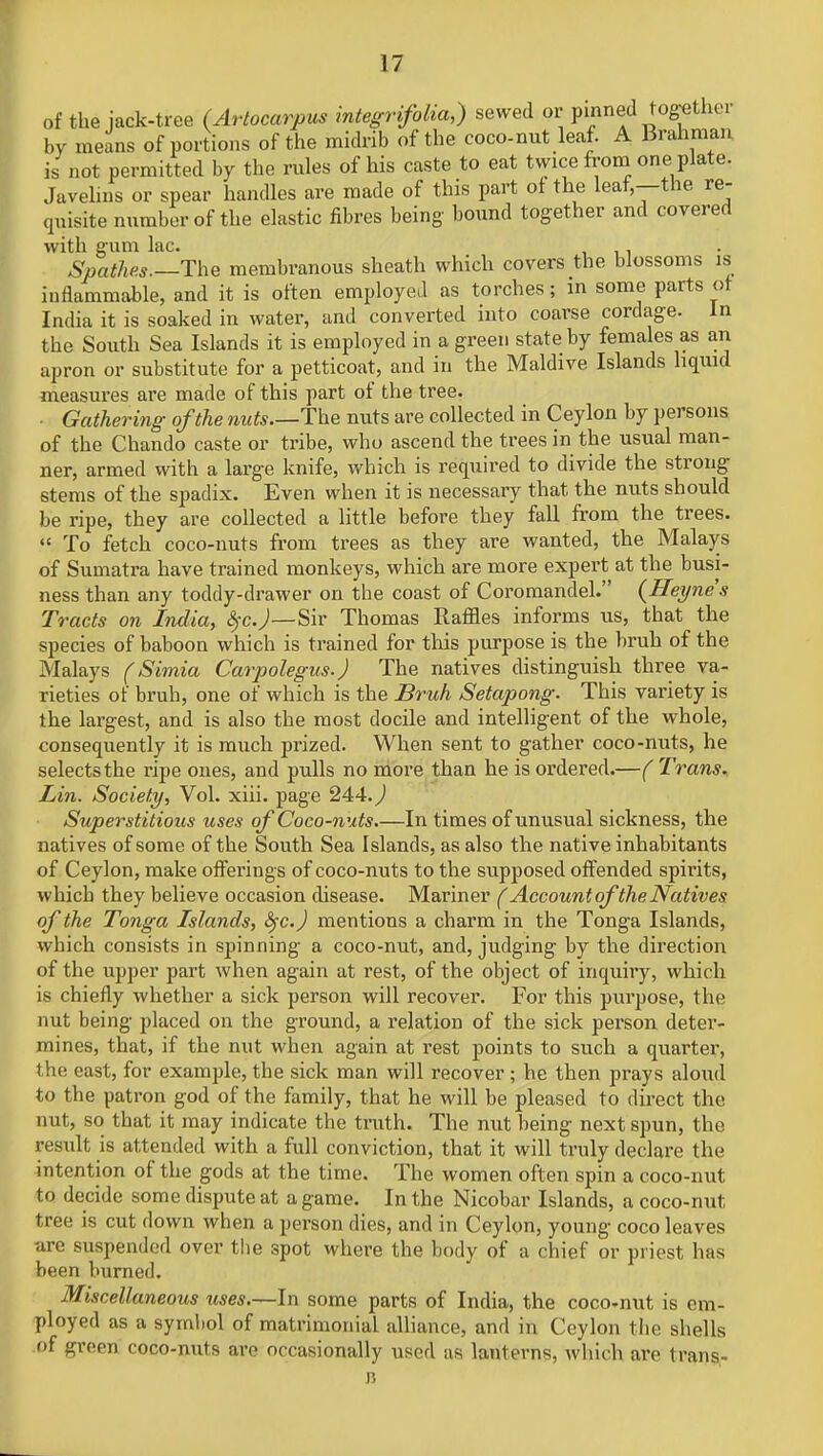 of the jack-tree (Artocarpus integrifolia,) sewed or pinned together by means of portions of the midrib of the coco-nut leaf. A Brahman is not permitted by the rules of his caste to eat twice from one plate. Javelins or spear handles are made of this part ot the leaf,—the re- quisite number of the elastic fibres being- bound together and covered with gum lac. ,, Spathes—The membranous sheath which covers the blossoms is iuflammahle, and it is often employed as torches; in some parts ot India it is soaked in water, and converted into coarse cordage. In the South Sea Islands it is employed in a green state by females as an apron or substitute for a petticoat, and in the Maldive Islands liquid measures are made of this part of the tree. ■ Gathering of the nuts The nuts are collected in Ceylon by persons of the Chando caste or tribe, who ascend the trees in the usual man- ner, armed with a large knife, which is required to divide the strong stems of the spadix. Even when it is necessary that the nuts should be ripe, they are collected a little before they fall from the trees.  To fetch coco-nuts from trees as they are wanted, the Malays of Sumatra have trained monkeys, which are more expert at the busi- ness than any toddy-drawer on the coast of Coromandel. (Heyne's Tracts on India, fyc.)—Sir Thomas Raffles informs us, that the species of baboon which is trained for this purpose is the bruh of the Malays (Simia Carpolegus.) The natives distinguish three va- rieties of bruh, one of which is the Bruh Setapong. This variety is the largest, and is also the most docile and intelligent of the whole, consequently it is much prized. When sent to gather coco-nuts, he selects the ripe ones, and pulls no more than he is ordered.—( Trans. Lin. Society, Vol. xiii. page 244. J Superstitious uses of Coco-nuts In times of unusual sickness, the natives of some of the South Sea Islands, as also the native inhabitants of Ceylon, make offerings of coco-nuts to the supposed offended spirits, which they believe occasion disease. Mariner ( Account of the Natives of the Tonga Islands, fyc.) mentions a charm in the Tonga Islands, which consists in spinning a coco-nut, and, judging by the direction of the upper part when again at rest, of the object of inquiry, which is chiefly whether a sick person will recover. For this purpose, the nut being placed on the ground, a relation of the sick person deter- mines, that, if the nut when again at rest points to such a quarter, the east, for example, the sick man will recover ; he then prays aloud to the patron god of the family, that he will be pleased to direct the nut, so that it may indicate the truth. The nut being next spun, the result is attended with a full conviction, that it will truly declare the intention of the gods at the time. The women often spin a coco-nut to decide some dispute at a game. In the Nicobar Islands, a coco-nut tree is cut down when a person dies, and in Ceylon, young coco leaves are suspended over the spot where the body of a chief or priest has been burned. Miscellaneous tises.—In some parts of India, the coco-nut is em- ployed as a symbol of matrimonial alliance, and in Ceylon the shells of green coco-nuts are occasionally used aa lanterns, which are trans- n