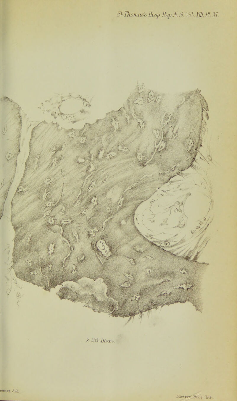 rkomass Bcsp.Rep.K/>. VclJHI. PL.17. y