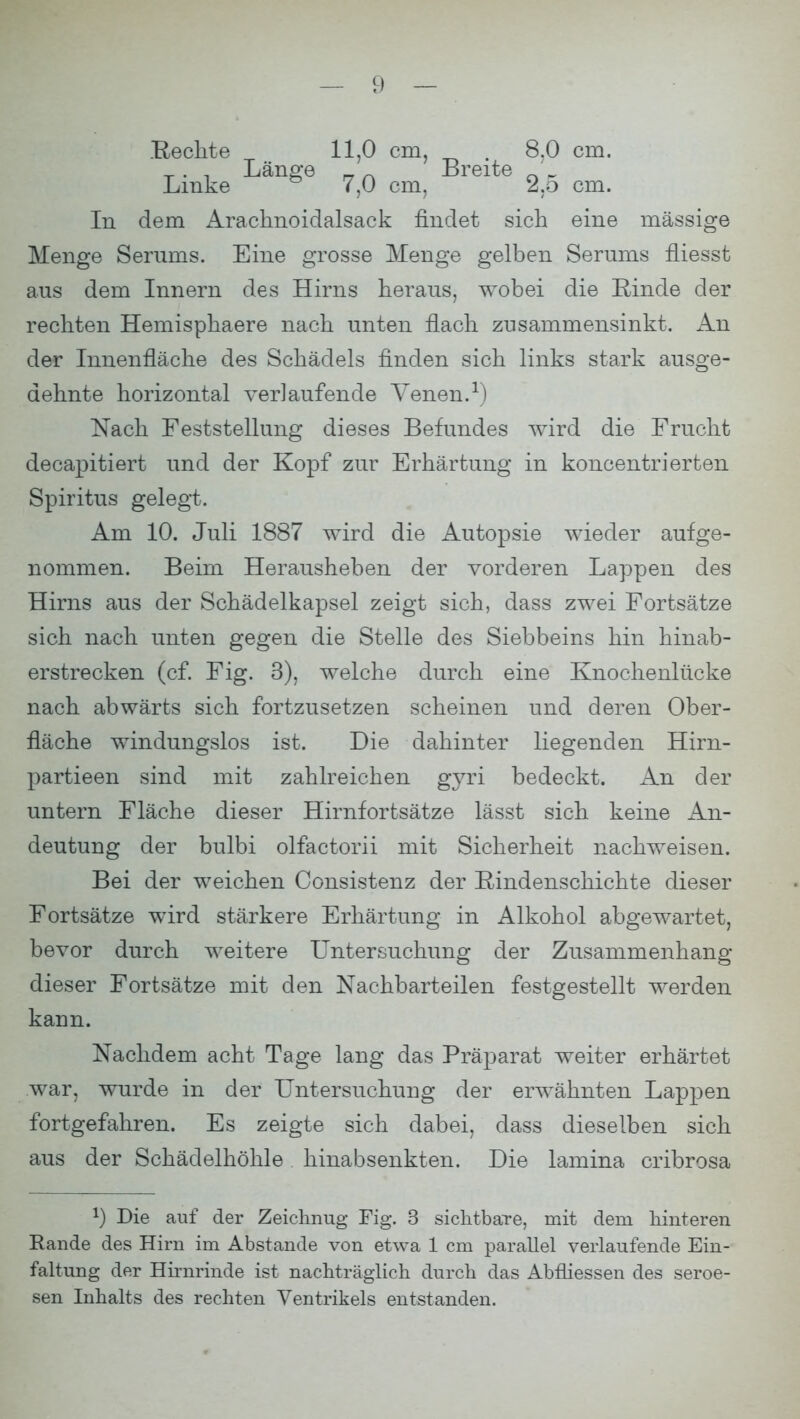 .Rechte Linke Länge 11,0 cm, 7,0 cm. Breite 8,0 cm. 2.5 cm. In dem Arachnoidalsack findet sich eine massige Menge Serums. Eine grosse Menge gelben Serums fliesst aus dem Innern des Hirns heraus, wobei die Rinde der rechten Hemisphaere nach unten flach zusammensinkt. An der Innenfläche des Schädels finden sich links stark ausge- dehnte horizontal verlaufende Venen.1) Nach Feststellung dieses Befundes wird die Frucht decapitiert und der Kopf zur Erhärtung in koncentrierten Spiritus gelegt. Am 10. Juli 1887 wird die Autopsie wieder aufge- nommen. Beim Herausheben der vorderen Lappen des Hirns aus der Schädelkapsel zeigt sich, dass zwei Fortsätze sich nach unten gegen die Stelle des Siebbeins hin hinab- erstrecken (cf. Fig. 3), welche durch eine Knochenlücke nach abwärts sich fortzusetzen scheinen und deren Ober- fläche windungslos ist. Die dahinter liegenden Hirn- partieen sind mit zahlreichen gyri bedeckt. An der untern Fläche dieser Hirnfortsätze lässt sich keine An- deutung der bulbi olfactorii mit Sicherheit nachweisen. Bei der weichen Consistenz der Rindenschichte dieser Fortsätze wird stärkere Erhärtung in Alkohol abgewartet, bevor durch weitere Untersuchung der Zusammenhang dieser Fortsätze mit den Nachbarteilen festgestellt werden kann. Nachdem acht Tage lang das Präparat weiter erhärtet war, wurde in der Untersuchung der erwähnten Lappen fortgefahren. Es zeigte sich dabei, class dieselben sich aus der Schädelhöhle hinabsenkten. Die lamina cribrosa Die auf der Zeichnug Fig. 3 sichtbare, mit dem hinteren Rande des Hirn im Abstände von etwa 1 cm parallel verlaufende Ein- faltung der Hirnrinde ist nachträglich durch das Abfliessen des seroe- sen Inhalts des rechten Ventrikels entstanden.