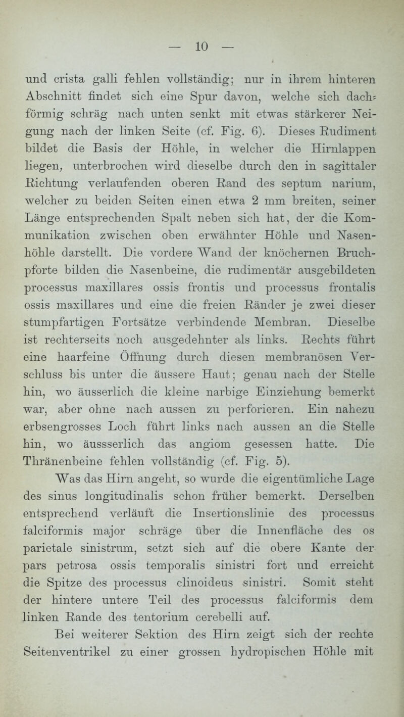 und crista galli fehlen vollständig; nur in ihrem hinteren Abschnitt findet sich eine Spur davon, welche sich dach= förmig schräg nach unten senkt mit etwas stärkerer Nei- gung nach der linken Seite (cf. Fig. 6). Dieses Rudiment bildet die Basis der Höhle, in welcher die Hirnlappen liegen, unterbrochen wird dieselbe durch den in sagittaler Richtung verlaufenden oberen Rand des septum narium, welcher zu beiden Seiten einen etwa 2 mm breiten, seiner Länge entsprechenden Spalt neben sich hat, der die Kom- munikation zwischen oben erwähnter Höhle und Nasen- höhle darstellt. Die vordere Wand der knöchernen Bruch- pforte bilden die Nasenbeine, die rudimentär ausgebildeten Processus maxillares ossis frontis und processus frontalis ossis maxillares und eine die freien Ränder je zwei dieser stumpfartigen Fortsätze verbindende Membran. Dieselbe ist rechterseits noch ausgedehnter als links. Rechts führt eine haarfeine Öffnung durch diesen membranösen Ver- schluss bis unter die äussere Haut; genau nach der Stelle hin, wo äusserlich die kleine narbige Einziehung bemerkt war, aber ohne nach aussen zu perforieren. Ein nahezu erbsengrosses Loch führt links nach aussen an die Stelle hin, wo äussserlich das angiom gesessen hatte. Die Thränenbeine fehlen vollständig (cf. Fig. 5). Was das Hirn angeht, so wurde die eigentümliche Lage des sinus longitudinalis schon früher bemerkt. Derselben entsprechend verläuft die Insertionslinie des processus falciformis major schräge über die Innenfläche des os parietale sinistrum, setzt sich auf die obere Kante der pars petrosa ossis temporalis sinistri fort und erreicht die Spitze des processus clinoideus sinistri. Somit steht der hintere untere Teil des processus falciformis dem linken Rande des tentorium cerebelli auf. Bei weiterer Sektion des Hirn zeigt sich der rechte Seitenventrikel zu einer grossen hydropischen Höhle mit