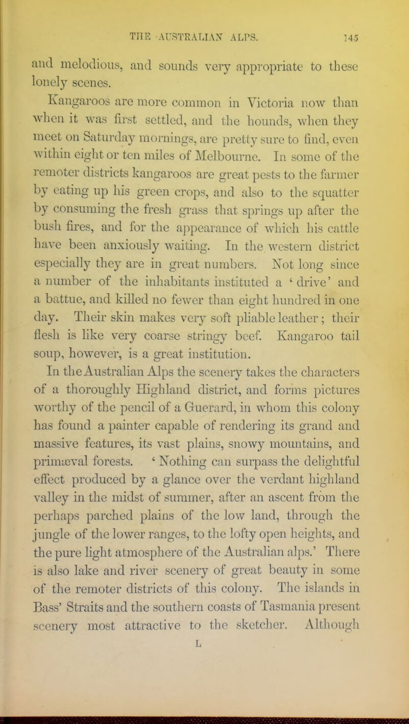 and melodious, and sounds very appropriate to these lonely scenes. Kangaroos are more common in Victoria now than when it was first settled, and the hounds, when they meet on Saturday mornings, are pretty sure to find, even within eight or ten miles of Melbourne. In some of the remoter districts kangaroos are great pests to the farmer by eating up his green crops, and also to the squatter by consuming the fresh grass that springs up after the bush fires, and for the appearance of which his cattle have been anxiously waiting. In the western district especially they are in great numbers. Not long since a number of the inhabitants instituted a 'drive' and a battue, and killed no fewer than eight hundred in one day. Their skin makes very soft pliable leather ; their flesh is like very coarse stringy beef. Kangaroo tail soup, however, is a great institution. In the Australian Alps the scenery takes the characters of a thoroughly Highland district, and forms pictures worthy of the pencil of a Guerard, in whom this colony has found a painter capable of rendering its grand and massive features, its vast plains, snowy mountains, and primieval forests. ' Nothing can surpass the delightful effect produced by a glance over the verdant highland valley in the midst of summer, after an ascent from the perhaps parched plains of the low land, through the jungle of the lower ranges, to the lofty open heights, and the pure light atmosphere of the Australian alps.' There is also lake and river scenery of great beauty in some of the remoter districts of this colony. The islands in Bass' Straits and the southern coasts of Tasmania present scenery most attractive to the sketcher. Although L wmiiiiifiiiiyiiiiiiiiiNiiiiiiiiiiiiiiiiiiiiiiiiiiiiMiiiiiiiiiiiiiiiiiiiiiiiiiM