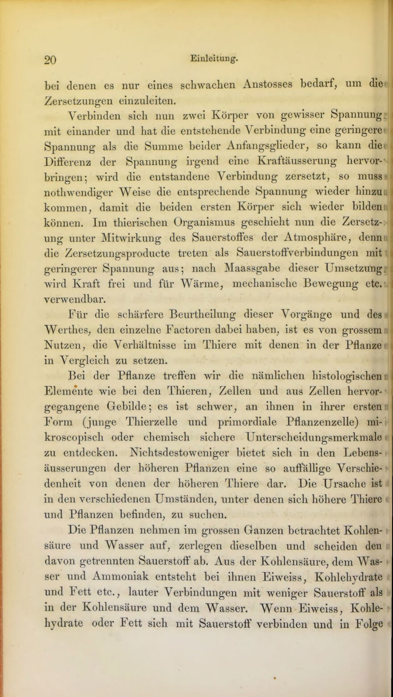 bei denen es nur eines schwachen Anstosses bedarf, um die Zersetzungen einzuleiten. Verbinden sieh nun zwei Körper von gewisser Spannung mit einander und hat die entstehende Verbindung eine geringere Spannung als die Summe beider Anfangsglieder, so kann die Differenz der Spannung irgend eine Kraftäusserung hervor- < bringen; wird die entstandene Verbindung zersetzt, so muss nothwendiger Weise die entsprechende Spannung wieder hinzu kommen, damit die beiden ersten Körper sich wieder bilden i können. Im thierischen Organismus geschieht nun die Zersetz- i ung unter Mitwirkung des Sauerstoffes der Atmosphäre, denn die Zersetzungsproducte treten als Sauerstoffverbindungen mit t geringerer Spannung aus; nach Maassgabe dieser Umsetzung wird Kraft frei und für Wärme, mechanische Bewegung etc. I verwendbar. Für die schärfere Beurtheilung dieser Vorgänge und des Werthes, den einzelne Factoren dabei haben, ist es von grossem Nutzen, die Verhältnisse im Thiere mit denen in der Pflanze ; in Vergleich zu setzen. Bei der Pflanze treffen wir die nämlichen histologischen Elemente wie bei den Thieren, Zellen und aus Zellen hervor- gegangene Gebilde; es ist schwer, an ihnen in ihrer ersten Form (junge Thierzelle und primordiale Pflanzenzelle) mi- kroscopisch oder chemisch sichere Unterscheidungsmerkmale zu entdecken. Nichtsdestoweniger bietet sich in den Lebens- äusserungen der höheren Pflanzen eine so auffällige Verschie- denheit von denen der höheren Thiere dar. Die Ursache ist in den verschiedenen Umständen, unter denen sich höhere Thiere und Pflanzen befinden, zu suchen. Die Pflanzen nehmen im grossen Ganzen betrachtet Kohlen- säure und Wasser auf, zerlegen dieselben und scheiden den davon getrennten Sauerstoff ab. Aus der Kohlensäure, dem Was- ser und Ammoniak entsteht bei ihnen Eiweiss, Kohlehvdrate und F ett etc., lauter Verbindungen mit weniger Sauerstoff’ als in der Kohlensäure und dem Wasser. Wenn Eiweiss, Kohle- hydrate oder Fett sich mit Sauerstoff verbinden und in Folge