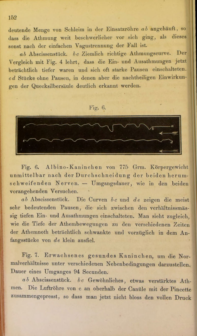 deutende Menge von Schleim in der Einsatzröhre ab angehäuft, so dass die Athmung weit beschwerlicher vor sich ging, als dieses sonst nach der einfachen Vagustrennung der Fall ist. ab Abscissenstiick. bc Ziemlich richtige Athmungscurve. Der Vergleich mit Fig. 4 lehrt, dass die Ein- und Ausathmungen jetzt beträchtlich tiefer waren und sich oft starke Pausen einschalteten. cd Stücke ohne Pausen, in denen aber die nachtheiligen Einwirkun- gen der Quecksilbersäule deutlich erkannt werden. Fig. 6. Albino-Kaninchen von 775 Grm. Körpergewicht unmittelbar nach der Durchschnei düng der beiden herum- schweifenden Nerven. — Umgangsdauer, wie in den beiden vorangehenden Versuchen. ab Abscissenstiick. Die Curven bc und de zeigen die meist sehr bedeutenden Pausen, die sich zwischen den verhältnissmäs- sig tiefen Ein- und Ausathmungen einschalteten. Man sieht zugleich, wie die Tiefe der Athembewegungen zu den verschiedenen Zeiten der Athemnoth beträchtlich schwankte und vorzüglich in dem An- fangsstücke von de klein ausfiel. Fig. 7. Erw achsenes gesundes Kaninchen, um die Nor- malverhältnisse unter verschiedenen Nebenbedingungen darzustellen. Dauer eines Umganges 94 Secunden. ab Abscissenstück. bc Gewöhnliches, etwas verstärktes Ath- men. Die Luftröhre von c an oberhalb der Canüle mit der Pincette zusammengepresst, so dass man jetzt nicht bloss den vollen Druck