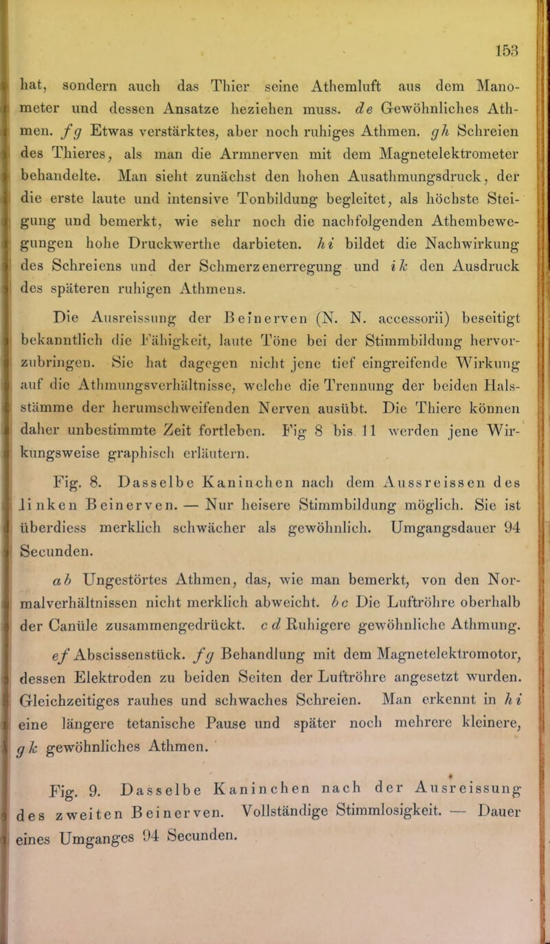 hat, sondern auch das Thier seine Athemluft aus dem Mano- meter und dessen Ansätze beziehen muss, de Gewöhnliches Ath- men. f g Etwas verstärktes, aber noch ruhiges Athmen. gh »Schreien des Thieres, als man die Armnerven mit dem Magnetelektrometer behandelte. Man sieht zunächst den hohen Ausathmungsdruck, der die erste laute und intensive Tonbildung begleitet, als höchste Stei- gung und bemerkt, wie sehr noch die nachfolgenden Athembewe- 1 gungen hohe Druckwerthe darbieten, hi bildet die Nachwirkung des Schreiens und der Schmerzenerregung und ik den Ausdruck | des späteren ruhigen Athmens. Die Ausreissung der Beinerven (N. N. accessorii) beseitigt bekanntlich die Fähigkeit, laute Töne bei der Stimmbildung hervor- zubringen. Sie hat dagegen nicht jene tief eingreifende Wirkung auf die Athmungsverhältnisse, welche die Trennung der beiden Hals- stämme der herumschweifenden Nerven ausübt. Die Thiere können daher unbestimmte Zeit fortleben. Fig 8 bis 11 werden jene Wir- kungsweise graphisch erläutern. Fig. 8. Dasselbe Kaninchen nach dem Aussreissen des .linken Beinerven. — Nur heisere Stimmbildung möglich. Sie ist überdiess merklich schwächer als gewöhnlich. Umgangsdauer 94 Secunden. ah Ungestörtes Athmen, das, wie man bemerkt, von den Nor- Imalverhältnissen nicht merklich abweicht, hc Die Luftröhre oberhalb der Caniile zusammengedrückt, c d Bulligere gewöhnliche Athmung. ef Abscissensttick. fg Behandlung mit dem Magnetelektromotor, dessen Elektroden zu beiden Seiten der Luftröhre angesetzt wurden. Gleichzeitiges rauhes und schwaches Schreien. Man erkennt in li i eine längere tetanisehe Pause und später noch mehrere kleinere, I gk gewöhnliches Athmen. # Fig. 9. Dasselbe Kaninchen nach der Ausreissung i des zweiten Beinerven. Vollständige Stimmlosigkeit. — Dauer jj eines Umganges 94 Secunden. f