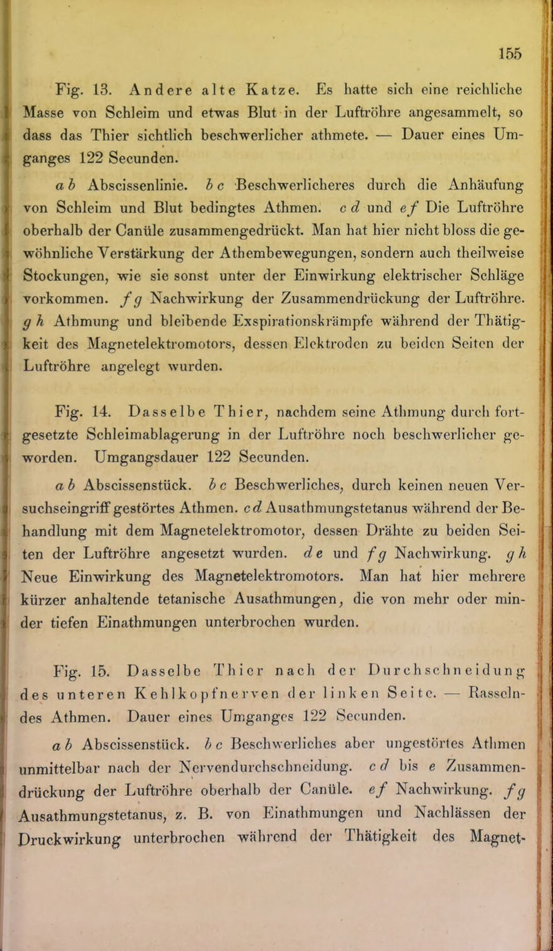 Fig. 13. Andere alte Katze. Es hatte sich eine reichliche Masse von Schleim und etwas Blut in der Luftröhre angesammelt, so dass das Thier sichtlich beschwerlicher athmete. — Dauer eines Um- ganges 122 Secunden. a b Abscissenlinie. b c Beschwerlicheres durch die Anhäufung von Schleim und Blut bedingtes Athmen. c d und ef Die Luftröhre oberhalb der Canüle zusammengedrückt. Man hat hier nicht bloss die ge- wöhnliche Verstärkung der Athembewegungen, sondern auch theilweise Stockungen, wie sie sonst unter der Einwirkung elektrischer Schläge Vorkommen, fg Nachwirkung der Zusammendrückung der Luftröhre. g h Athmung und bleibende Exspirationskrämpfe während der Thätig- keit des Magnetelektromotors, dessen Elektroden zu beiden Seiten der Luftröhre angelegt wurden. Fig. 14. Dasselbe Thier, nachdem seine Athmung durch fort- gesetzte Schleimablagerung in der Luftröhre noch beschwerlicher ge- worden. Umgangsdauer 122 Secunden. ab Abscissenstück. bc Beschwerliches, durch keinen neuen Ver- suchseingriff gestörtes Athmen. cd Ausathmungstetanus während der Be- handlung mit dem Magnetelektromotor, dessen Drähte zu beiden Sei- ten der Luftröhre angesetzt wurden, d e und f g Nachwirkung, g h Neue Einwirkung des Magnetelektromotors. Man hat hier mehrere kürzer anhaltende tetanische Ausathmungen, die von mehr oder min- der tiefen Einathmungen unterbrochen wurden. Fig. 15. Dasselbe Thier nach der Durchschneidung des unteren Kehlkopfnerven der linken Seite. — Rasseln- des Athmen. Dauer eines Umganges 122 Secunden. ab Abscissenstück. bc Beschwerliches aber ungestörtes Athmen unmittelbar nach der Nervendurchschneidung, cd bis e Zusammen- drückung der Luftröhre oberhalb der Canüle. ef Nachwirkung, fg Ausathmungstetanus, z. B. von Einathmungen und Nachlässen der Druckwirkung unterbrochen während der Thätigkeit des Magnet-