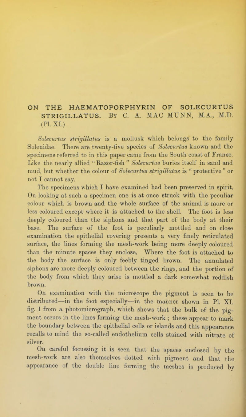 ON THE HAEMATOPORPHYRIN OF SOLECURTUS STRIGILLATUS. By C. A. MAC MUNN, M.A., M.D. (PI. XI.) Solecurtus strigillatas is a mollusk which belongs to the family Solenidae. There are twenty-five species of Solecurtus known and the specimens referred to in this paper came from the South coast of France. Like the nearly allied  Razor-fish  Solecurtus buries itself in sand and mud, but whether the colour of Solecurtus strigillatus is  protective  or not I cannot say. The specimens which I have examined had been preserved in spirit. On looking at such a specimen one is at once struck with the peculiar colour which is brown and the whole surface of the animal is more or less coloured except where it is attached to the shell. The foot is less deeply coloured than the siphons and that part of the body at their base. The surface of the foot is peculiarly mottled and on close examination the epithelial covering presents a very finely reticulated surface, the lines forming the mesh-work being more deeply coloured than the minute spaces they enclose. Where the foot is attached to the body the surface is only feebly tinged brown. The annulated siphons are more deeply coloured between the rings, and the portion of the body from which they arise is mottled a dark somewhat reddish brown. On examination with the microscope the pigment is seen to be distributed—in the foot especially—in the manner shown in PI. XI. fig. 1 from a photomicrograph, which shews that the bulk of the pig- ment occurs in the lines forming the mesh-work ; these appear to mark the boundary between the epithelial cells or islands and this appearance recalls to mind the so-called endothelium cells stained with nitrate of silver. On careful focussing it is seen that the spaces enclosed by the mesh-work are also themselves dotted with pigment and that the appearance of the double line forming the meshes is produced by