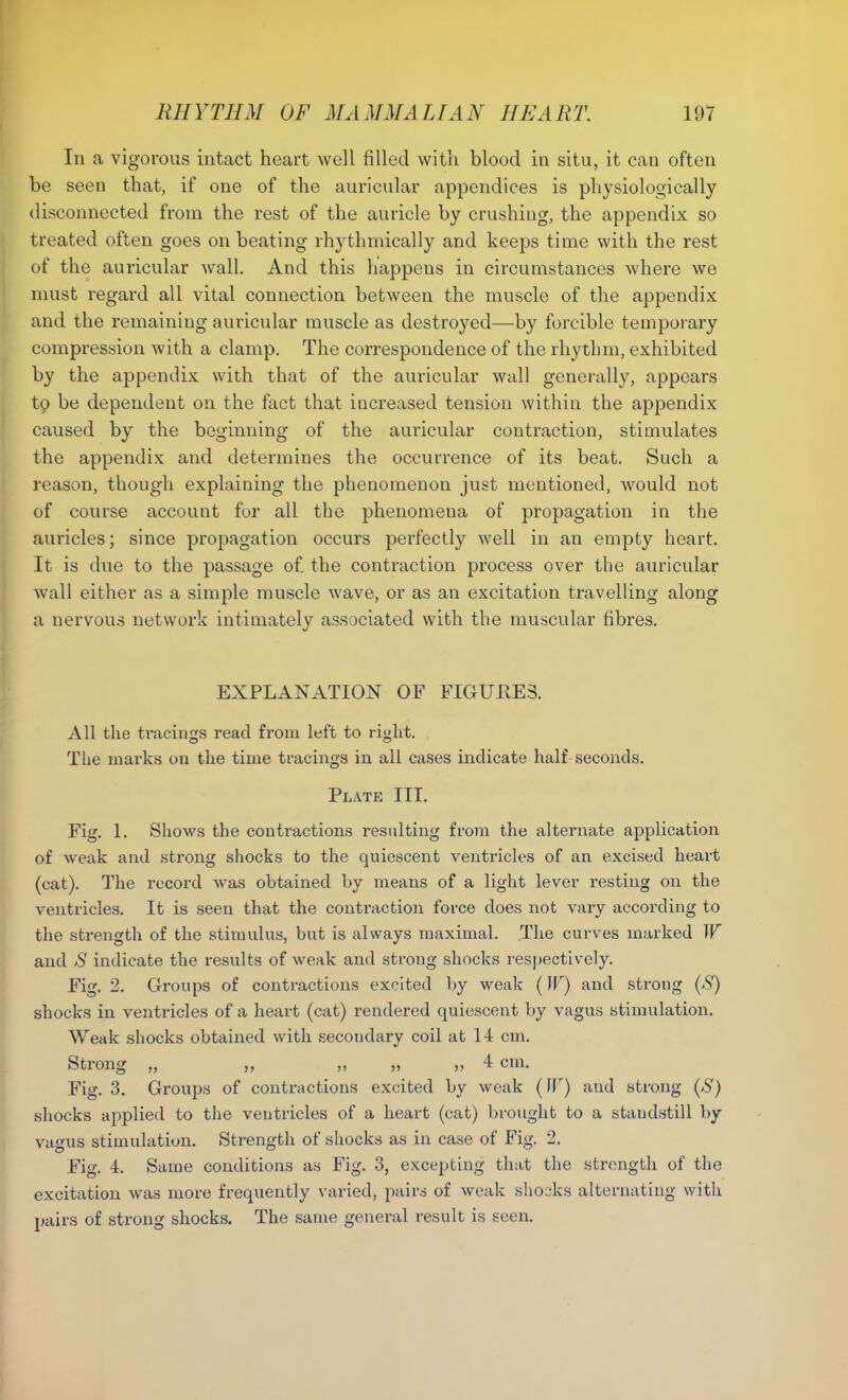 In a vigorous intact heart well filled with blood in situ, it can often be seen that, if one of the auricular appendices is physiologically disconnected from the rest of the auricle by crushing, the appendix so treated often goes on beating rhythmically and keeps time with the rest of the auricular wall. And this happens in circumstances where we must regard all vital connection between the muscle of the appendix and the remaining auricular muscle as destroyed—by forcible temporary compression with a clamp. The correspondence of the rhythm, exhibited by the appendix with that of the auricular wall generally, appears tQ be dependent on the fact that increased tension within the appendix caused by the beginning of the auricular contraction, stimulates the appendix and determines the occurrence of its beat. Such a reason, though explaining the phenomenon just mentioned, would not of course account for all the phenomena of propagation in the auricles; since propagation occurs perfectly well in an empty heart. It is due to the passage of. the contraction process over the auricular wall either as a simple muscle wave, or as an excitation travelling along a nervous network intimately associated with the muscular fibres. EXPLANATION OF FIGURES. All the tracings read from left to right. The marks on the time tracings in all cases indicate half seconds. Plate III. Fig. 1. Shows the contractions resulting from the alternate application of weak and strong shocks to the quiescent ventricles of an excised heart (cat). The record was obtained by means of a light lever resting on the ventricles. It is seen that the contraction force does not vary according to the strength of the stimulus, but is always maximal. The curves marked IF and S indicate the results of weak and strong shocks respectively. Fig. 2. Groups of contractions excited by weak (IF) and strong (S) shocks in ventricles of a heart (cat) rendered quiescent by vagus stimulation. Weak shocks obtained with secondary coil at 14 cm. Strong „ „ „ „ „ 4 cm. Fig. 3. Groups of contractions excited by weak (IF) and strong (S) shocks applied to the ventricles of a heart (cat) brought to a standstill by vagus stimulation. Strength of shocks as in case of Fig. 2. Fig. 4. Same conditions as Fig. 3, excepting that the strength of the excitation was more frequently varied, pairs of weak shocks alternating with pairs of strong shocks. The same general result is seen.