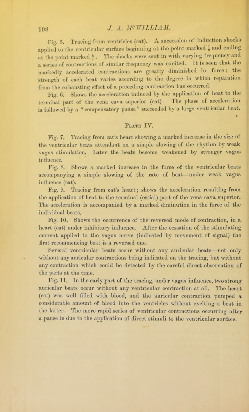 Fig. 5. Tracing from ventricles (cat). A succession of induction shocks applied to the ventricular surface beginning at the point marked J and ending at the point marked j . The shocks were sent in with varying frequency and a series of contractions of similar frequency was excited. It is seen that the markedly accelerated contractions are greatly diminished in force: the strength of each beat varies according to the degree in which reparation from the exhausting effect of a preceding contraction has occurred. Fig. 6. Shows the acceleration induced by the application of heat to the terminal part of the vena cava superior (cat). The phase of acceleration is followed by a “compensatory pause” succeeded by a large ventricular beat. I Plate IV. Fig. 7. Tracing from cat’s heart showing a marked increase in the size of o o o the ventricular beats attendant on a simple slowing of the rhythm by weak vagus stimulation. Later the beats become weakened by stronger vagus influence. Fig. 8. Shows a marked increase in the force of the ventricular beats accompanying a simple slowing of the rate of beat—under weak vagus influence (cat). Fig. 9. Tracing from cat’s heart; shows the acceleration resulting from the application of heat to the terminal (ostial) part of the vena cava superior. The acceleration is accompanied by a marked diminution in the force of the individual beats. Fig. 10. Shows the occurrence of the reversed mode of contraction, in a heart (cat) under inhibitory influence. After the cessation of the stimulating current applied to the vagus nerve (indicated by movement of signal) the first recommencing beat is a reversed one. Several ventricular beats occur without any auricular beats—not only without any auricular contractions being indicated on the tracing, but without any contraction which could be detected by the careful direct observation of the parts at the time. Fig. 11. In the early part of the tracing, under vagus influence, two strong auricular beats occur without any ventricular contraction at all. The heart (cat) was well filled with blood, and the auricular contraction pumped a considerable amount of blood into the ventricles without exciting a beat in the latter. The more rapid series of ventricular contractions occurring after a pause is due to the application of direct stimuli to the ventricular surface.