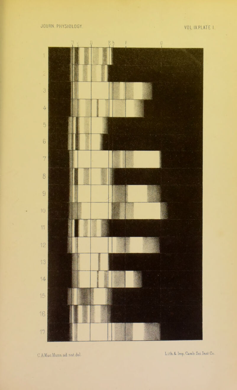 JOURN. PHYSIOLOGY VUL IX PLATE I