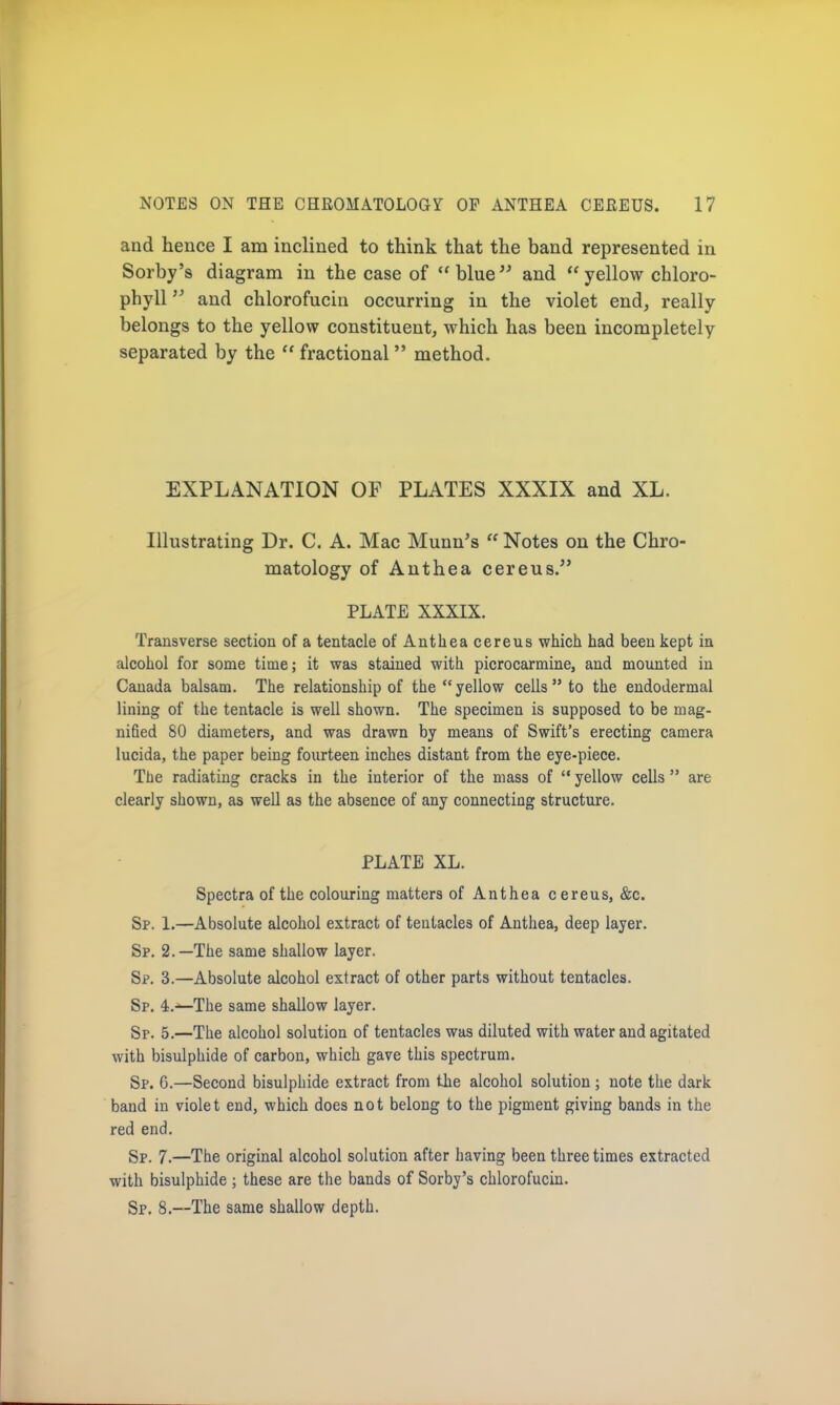 and hence I am inclined to think that the band represented in Sorby's diagram in the case of blue and yellow chloro- phyll  and chlorofucin occurring in the violet end, really belongs to the yellow constituent, which has been incompletely separated by the  fractional method. EXPLANATION OF PLATES XXXIX and XL. Illustrating Dr. C. A. Mac Munn's  Notes on the Chro- matology of Anthea cere us. PLATE XXXIX. Transverse section of a tentacle of Anthea cereus which had been kept in alcohol for some time; it was stained with picrocarmine, and mounted in Canada balsam. The relationship of the yellow cells  to the endodermal lining of the tentacle is well shown. The specimen is supposed to be mag- nified 80 diameters, and was drawn by means of Swift's erecting camera lucida, the paper being fourteen inches distant from the eye-piece. The radiating cracks in the interior of the mass of  yellow cells  are clearly shown, as well as the absence of any connecting structure. PLATE XL. Spectra of the colouring matters of Anthea cereus, &c. Sp. 1.—Absolute alcohol extract of tentacles of Anthea, deep layer. Sp. 2.—The same shallow layer. Sp. 3.—Absolute alcohol extract of other parts without tentacles. Sp. 4.~The same shallow layer. Sp. 5.—The alcohol solution of tentacles was diluted with water and agitated with bisulphide of carbon, which gave this spectrum. Sp. 6.—Second bisulphide extract from the alcohol solution ; note the dark band in violet end, which does not belong to the pigment giving bands in the red end. Sp. 7.—The original alcohol solution after having been three times extracted with bisulphide ; these are the bands of Sorby's chlorofucin. Sp. 8.—The same shallow depth.