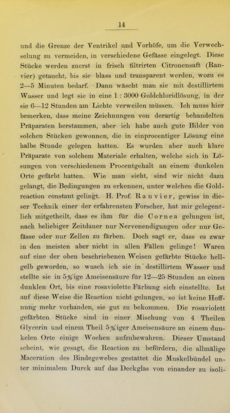 und dio Grenze der Ventrikel und Yorhöfe, um die Verwech- selung zu vermeiden, in verschiedene Gefasse eingelegt. Diese Sriicke werden zuerst in frisch filtrirten Citronensaft (Ran- vier) getaucht, his sie blass und transparent werden, wozu es 2—5 Minuten bedarf. Dann wäscht man sie mit destillirtem Wasser und legt sie in eine 1 : 3000 Goldchloridlösung, in der sie 6—12 Stunden am Lichte verweilen müssen. Ich muss hier bemerken, dass meine Zeichnungen von derartig behandelten Präparaten herstammen, aber ich habe auch gute Bilder von -nlchen Stücken gewonnen, die in einprocentiger Lösung eine halbe Stunde gelegen hatten. Es wurden aber auch klare Präparate von solchem Materiale erhalten, welche sich in Lö- sungen von verschiedenem Procentgehalt an einem dunkelen Orte gefärbt hatten. Wie man sieht, sind wir nicht dazu gelangt, die Bedingungen zu erkennen, unter welchen die Gold- reaction constant gelingt. H.Prof. Ran vi er, gewiss in die- ser Technik einer der erfahrensten Forscher, hat mir gelegent- lich mitgetheilt, dass es ihm für die Cornea gelungen ist, nach beliebiger Zeitdauer nur Nervenendigungen oder nur Ge- tässe oder nur Zellen zu färben. Doch sagt er, dass es zwar in den meisten aber nicht in allen Fällen gelinge! Waren auf eine der oben beschriebenen Weisen gefärbte Stücke hell- gelb geworden, so wusch ich sie in destillirtem Wasser und stellte sie in o^ige Ameisensäure für 12—25 Stunden an einen dunklen Ort, bis eine rosaviolette Färbung sich einstellte. Ist auf diese Weise die Reaction nicht gelungen, so ist keine Hoff- nung mehr vorhanden, sie gut zu bekommen. Die rosaviolett gefärbten Stücke sind in einer Mischung von 4 Theilen Glycerin und einem Theil öliger Ameisensäure an einem dun- kelen Orte einige Wochen aufzubewahren. Dieser Umstand Beheint; wie gesagt, die Reaction zu befördern, die allmälige Maeeration des Bindegewebes gestattet die Muskelbündel un- ter minimalem Durck auf das Deckglas von einander zu isoli-