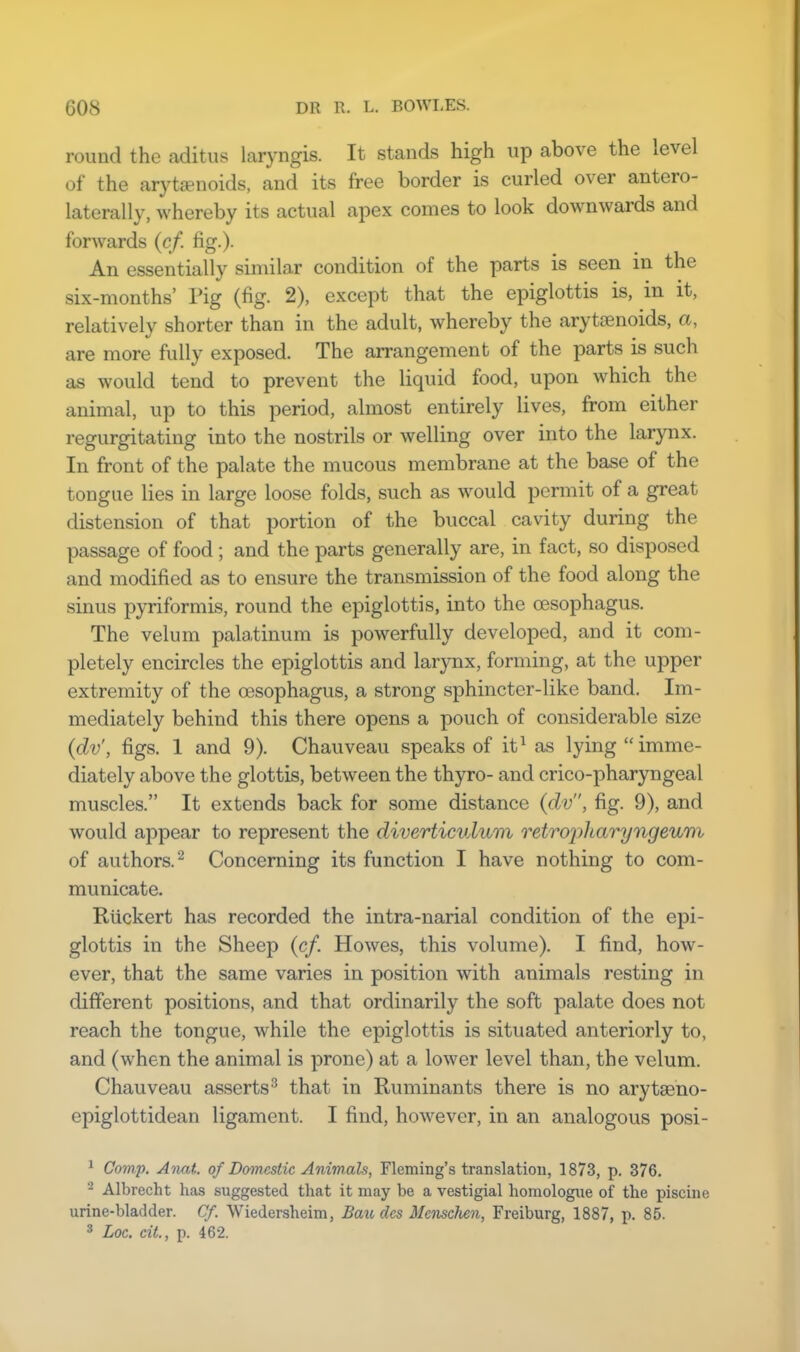 round the aditus laryngis. It stands high up above the level of the arytenoids, and its free border is curled over antero- lateral^, whereby its actual apex comes to look downwards and forwards (cf. fig.). An essentially similar condition of the parts is seen in the six-months' Fig (fig. 2), except that the epiglottis is, in it, relatively shorter than in the adult, whereby the arytenoids, a, are more fully exposed. The arrangement of the parts is such as would tend to prevent the liquid food, upon which the animal, up to this period, almost entirely lives, from either regurgitating into the nostrils or welling over into the larynx. In front of the palate the mucous membrane at the base of the tongue lies in large loose folds, such as would permit of a great distension of that portion of the buccal cavity during the passage of food ; and the parts generally are, in fact, so disposed and modified as to ensure the transmission of the food along the sinus pyriformis, round the epiglottis, into the oesophagus. The velum palatinum is powerfully developed, and it com- pletely encircles the epiglottis and larynx, forming, at the upper extremity of the oesophagus, a strong sphincter-like band. Im- mediately behind this there opens a pouch of considerable size (dv', figs. 1 and 9). Chauveau speaks of it1 as lying imme- diately above the glottis, between the thyro- and crico-pharyngeal muscles. It extends back for some distance (dv, fig. 9), and would appear to represent the diverticulum retropharyngeum of authors.2 Concerning its function I have nothing to com- municate. Riickert has recorded the intra-narial condition of the epi- glottis in the Sheep (cf. Howes, this volume). I find, how- ever, that the same varies in position with animals resting in different positions, and that ordinarily the soft palate does not reach the tongue, while the epiglottis is situated anteriorly to, and (when the animal is prone) at a lower level than, the velum. Chauveau asserts3 that in Ruminants there is no arytaeno- epiglottidean ligament. I find, however, in an analogous posi- 1 Comp. Anat. of Domestic Animals, Fleming's translation, 1873, p. 376. 2 Albrecht has suggested that it may be a vestigial homologue of the piscine urine-bladder. Cf. Wiedersheim, Baudcs Mcnschen, Freiburg, 1887, p. 85. 3 hoc. ext., p. 462.