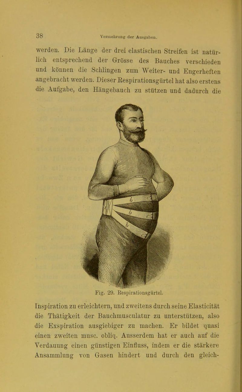 werden. Die Länge der drei elastischen Streifen ist natür- lich entsprechend der Grösse des Bauches verschieden und können die Schlingen zum Weiter- und Engerheften angebracht werden. Dieser Respirationsgürtel hat also erstens die Aufgabe, den Hängebauch zu stützen und dadurch die Fig. 29. Respirationsgürtel. Inspiration zu erleichtern, und zweitens durch seine Elasticität die Thätigkeit der Bauchmusculatur zu unterstützen, also die Exspiration ausgiebiger zu machen. Er bildet quasi einen zweiten musc. obliq. Ausserdem hat er auch auf die Verdauung einen günstigen Einfluss, indem er die stärkere Ansammlung von Gasen hindert und durch den gleich-