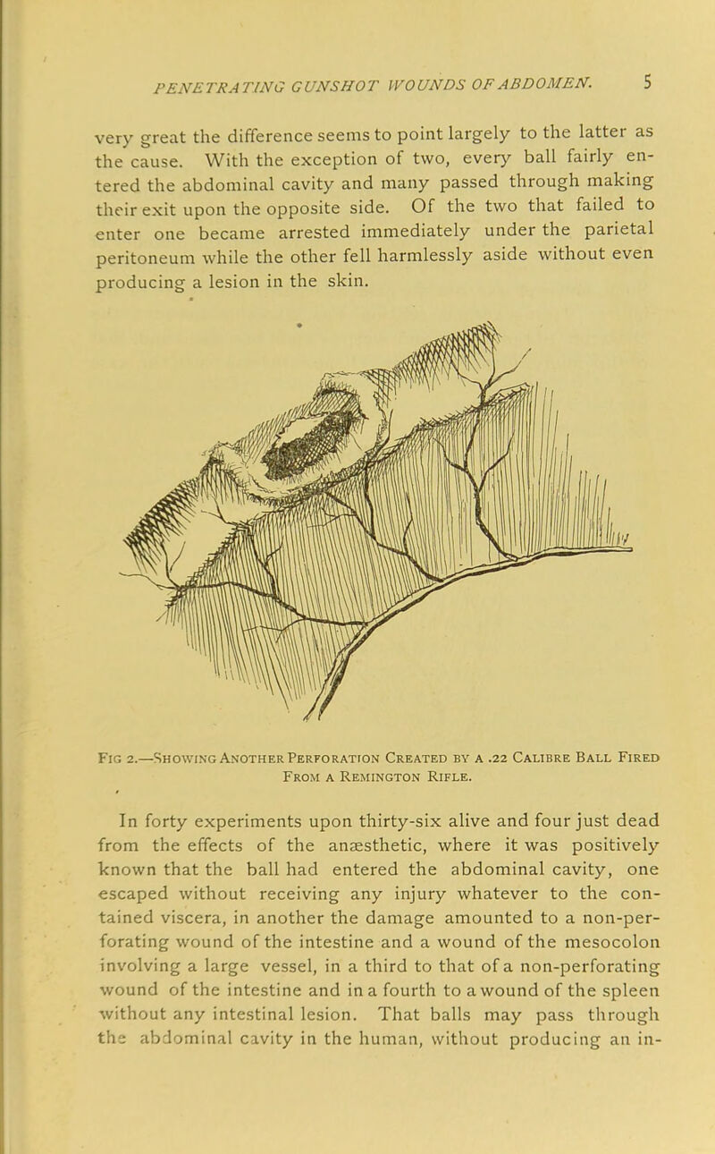 very great the difference seems to point largely to the latter as the cause. With the exception of two, every ball fairly en- tered the abdominal cavity and many passed through making their exit upon the opposite side. Of the two that failed to enter one became arrested immediately under the parietal peritoneum while the other fell harmlessly aside without even producing a lesion in the skin. Fig 2.—Showing Another Perforation Created by a .22 Calibre Ball Fired From a Remington Rifle. * In forty experiments upon thirty-six alive and four just dead from the effects of the anaesthetic, where it was positively known that the ball had entered the abdominal cavity, one escaped without receiving any injury whatever to the con- tained viscera, in another the damage amounted to a non-per- forating wound of the intestine and a wound of the mesocolon involving a large vessel, in a third to that of a non-perforating wound of the intestine and in a fourth to a wound of the spleen without any intestinal lesion. That balls may pass through the abdominal cavity in the human, without producing an in-