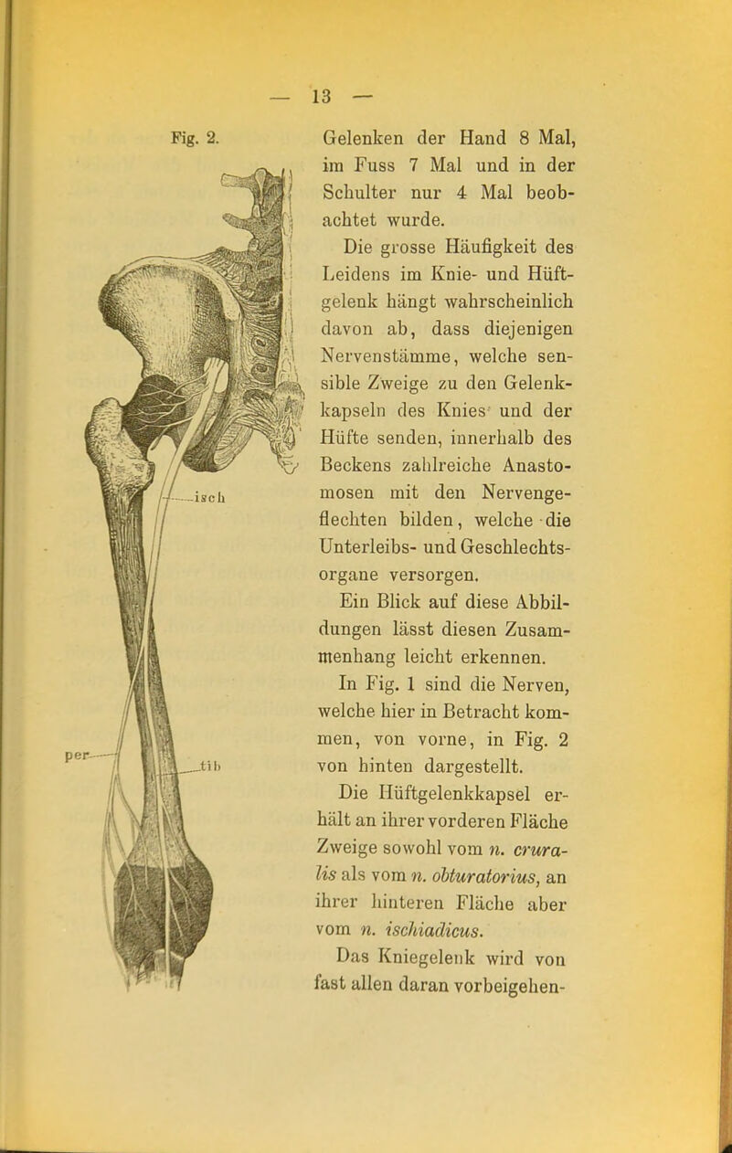 Fig. 2. Gelenken der Hand 8 Mal, im Fuss 7 Mal und in der Schulter nur 4 Mal beob- achtet wurde. Die grosse Häufigkeit des Leidens im Knie- und Hüft- gelenk hängt wahrscheinlich davon ab, dass diejenigen Nervenstämme, welche sen- sible Zweige zu den Gelenk- kapseln des Knies' und der Hüfte senden, innerhalb des Beckens zahlreiche Anasto- mosen mit den Nervenge- flechten bilden, welche die Unterleibs- und Geschlechts- organe versorgen. Ein Blick auf diese Abbil- dungen lässt diesen Zusam- menhang leicht erkennen. In Fig. 1 sind die Nerven, welche hier in Betracht kom- men, von vorne, in Fig. 2 von hinten dargestellt. Die Hüftgelenkkapsel er- hält an ihrer vorderen Fläche Zweige sowohl vom n. crura- lis als vom n. obturatorius, an ihrer hinteren Fläche aber vom n. ischiadicus. Das Kniegelenk wird von fast allen daran vorbeigehen-