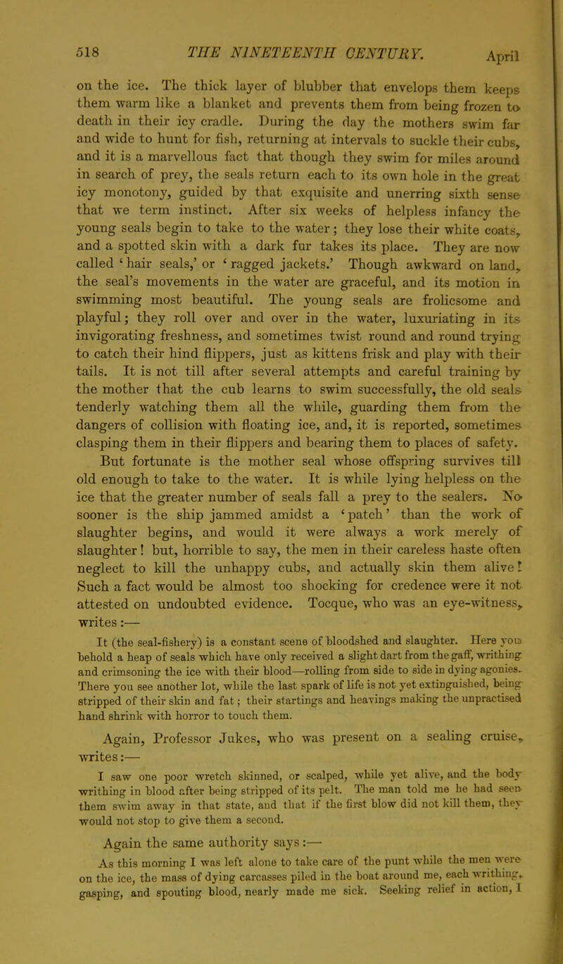 on the ice. The thick layer of blubber that envelops them keeps them warm like a blanket and prevents them from being frozen to death in their icy cradle. During the day the mothers swim far and wide to hunt for fish, returning at intervals to suckle their cubs, and it is a marvellous fact that though they swim for miles around in search of prey, the seals return each to its own hole in the great icy monotony, guided by that exquisite and unerring sixth sense that we term instinct. After six weeks of helpless infancy the young seals begin to take to the water; they lose their white coats, and a spotted skin with a dark fur takes its place. They are now called I hair seals,' or ' ragged jackets.' Though awkward on land, the seal's movements in the water are graceful, and its motion in swimming most beautiful. The young seals are frolicsome and playful; they roll over and over in the water, luxuriating in its invigorating freshness, and sometimes twist round and round trying to catch their hind flippers, just as kittens frisk and play with their tails. It is not till after several attempts and careful training by the mother that the cub learns to swim successfully, the old seals tenderly watching them all the while, guarding them from the dangers of collision with floating ice, and, it is reported, sometimes clasping them in their flippers and bearing them to places of safety. But fortunate is the mother seal whose offspring survives till old enough to take to the water. It is while lying helpless on the ice that the greater number of seals fall a prey to the sealers. No sooner is the ship jammed amidst a 'patch' than the work of slaughter begins, and would it were always a work merely of slaughter! but, horrible to say, the men in their careless haste often neglect to kill the unhappy cubs, and actually skin them alive I Such a fact would be almost too shocking for credence were it not attested on undoubted evidence. Tocque, who was an eye-witness,, writes:— It (the seal-fishery) is a constant scene of bloodshed and slaughter. Here tod behold a heap of seals which have only received a slight dart from the gaff, writhing and crimsoning the ice with their blood—rolling from side to side in dying agonies. There you see another lot, while the last spark of life is not yet extinguished, being; stripped of their skin and fat; their startings and heavings making the unpractised hand shrink with horror to touch them. Again, Professor Jukes, who was present on a sealing cruise, writes:— I saw one poor wretch skinned, or scalped, while yet alive, and the body writhing in blood after being stripped of its pelt. The man told me he had seen- them swim away in that state, and that if the first blow did not kill them, they would not stop to give them a second. Again the same authority says :— As this morning I was left alone to take care of the punt while the men were on the ice, the mass of dying carcasses piled in the boat around me, each writhing, gasping, and spouting blood, nearly made me sick. Seeking relief in action, I