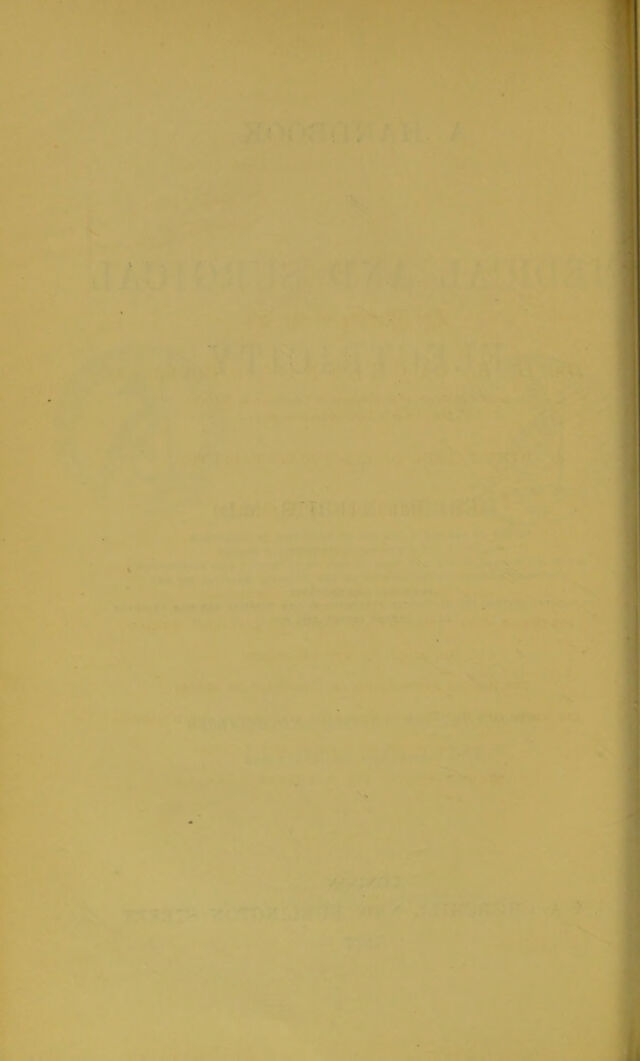 digitised image 2