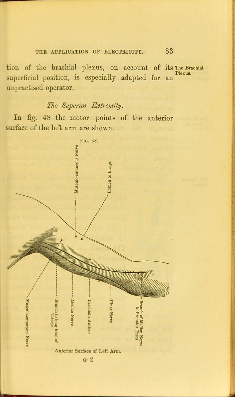 tion of the brachial plexus, on account of its The Brachial superficial position, is especially adapted for an unpractised operator. The Superior Extremity. In fig. 48 the motor points of the anterior surface of the left arm are shown. Fig. 48. Anterior Surface of Left Arm. 0-2