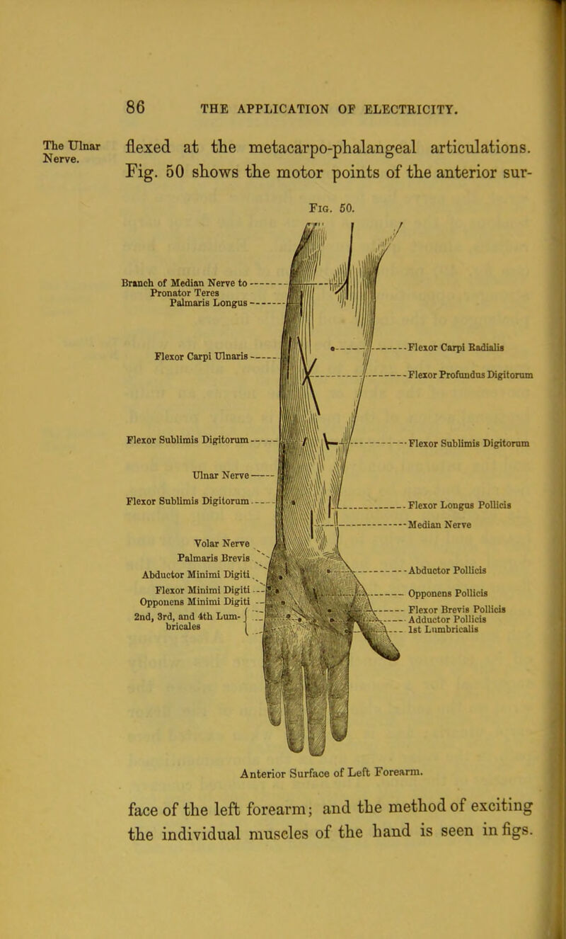 Ulnar flexcd at the metacarpo-phalangeal articulations. Fig. 50 shows the motor points of the anterior sur- FiG. 60. Branch of Median Nerve to Pronator Teres Falmaris Longus Flexor Carpi Ulnaris Flexor Sublimis Digitorum Ulnar Nerve Flexor Snblimis Digitoram Volar Nerve Falmaris Brevis Abductor Minimi Digitl Flexor Minimi Digiti Oppoucns Minimi Digiti 2nd, Srd, and 4th Lum- bricales • '!r Flexor Carpi Badialia Flexor Profundus Digitorum Flexor Sublimis Digitorum Flexor Longos PoUids Median Nerve Abductor PoUicis Opponens PoUicis Flexor Brevis PoUicis - - Adductor PoUicis 1st Lumbricalis Anterior Surface of Left Forearm. face of the left forearm; and the method of exciting the individual muscles of the hand is seen in figs.