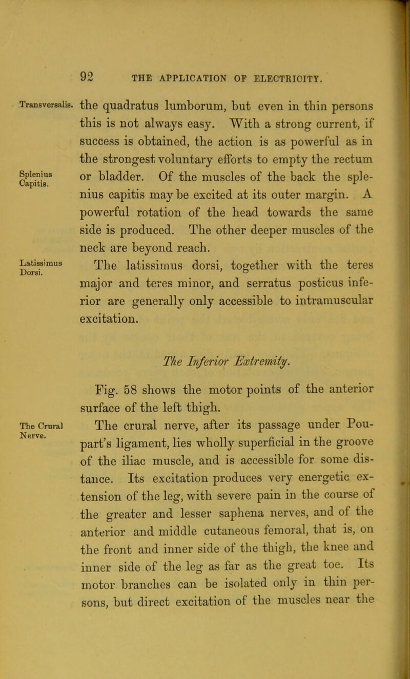 Splenius Capitis. Transversaiis. the quadratus lumborum, but even in thin persons this is not always easy. With a strong current, if success is obtained, the action is as powerful as in the strongest voluntary efforts to empty the rectum or bladder. Of the muscles of the back the sple- nius capitis maybe excited at its outer margin. A powerful rotation of the head towards the same side is produced. The other deeper muscles of the neck are beyond reach. The latissimus dorsi, together with the teres major and teres minor, and serratus posticus infe- rior are generally only accessible to intramuscular excitation. Latissimus Dorsi. The Inferior Extremity. Fig. 58 shows the motor points of the anterior surface of the left thigh. The Crural The crural nerve, after its passage under Pou- part's ligament, lies wholly superficial in the groove of the iliac muscle, and is accessible for some dis- tance. Its excitation produces very energetic ex- tension of the leg, with severe pain in the course of the greater and lesser saphena nerves, and of the anterior and middle cutaneous femoral, that is, on the front and inner side of the thigh, the knee and inner side of the leg as far as the great toe. Its motor branches can be isolated only in thin per- sons, but direct excitation of the muscles near the