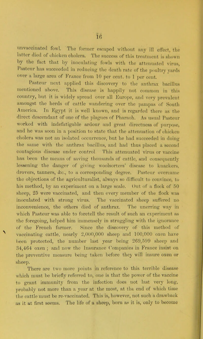 in unvaooinated fowl The former escaped without any ill effect, the latter died of chicken cholera. The success of this treatment is shown by the fact that by inoculating fowls with the attenuated virus, Pasteur has succeeded in reducing the death rate of the poultry yards over a large area of France from 10 per cent, to 1 per cent. Pasteur next applied this discovery to the anthrax bacillus mentioned above. This disease is happily not common in this country, but it is widely spread over all Europe, and very prevalent amongst the herds of cattle wandering over the pampas of South America. In Egypt it is well known, and is regarded there as the direct descendant of one of the plagues of Pharaoh. As usual Pasteur worked with indefatigable ardour and great directness of purpose, and he was soon in a position to state that the attenuation of chicken cholera was not an isolated occurrence, but he had succeeded in doing the same with the anthrax bacillus, and had thus placed a second contagious disease under control This attenuated virus or vaccine has been the means of saving thousands of cattle, and consequently lessening the danger of giving woolsorters' disease to knackers, drovers, tanners, drc, to a corresponding degree. Pasteur overcame the objections of the agriculturalist, always so difficult to convince, to his method, by an experiment on a large scale. Out of a flock of 50 sheep, 25 were vaccinated, and then every member of the flock was inoculated with strong virus. The vaccinated sheep suffered no inconvenience, the others died of anthrax. The unerring way in which Pasteur was able to foretell the result of such an experiment as the foregoing, helped him immensely in struggling with the ignorance of the French farmer. .Since the discovery of this method of vaccinating cattle, nearly 2,000,000 sheep and 100,000 oxen have lieen protected, the number last year being 269,599 sheep and 34,464 oxen ; and now the Insurance Companies in France insist on the preventive measure being taken before they will insure oxen or sheep. There are two more points in reference to this terrible disease which must be briefly referred to, one is that the power of the vaccine to grant immunity from the infection does not last very long, probably not more than a year at the most, at the end of which time the cattle must be re-vaccinated. This is, however, not such a drawback as it at first seems. The life of a sheep, born as it is, only to become