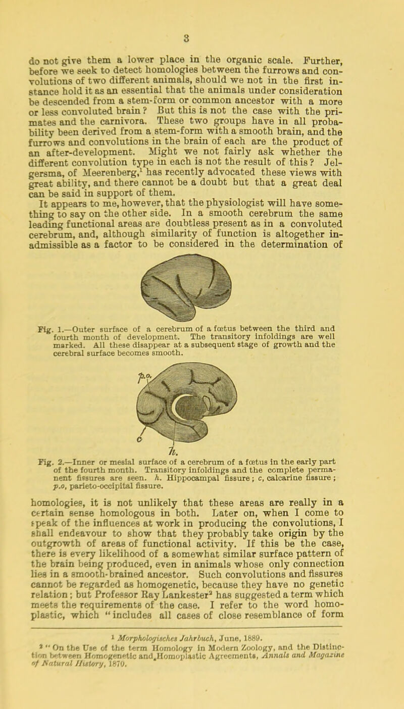 do not give them a lower place in the organic scale. Further, before we seek to detect homologies between the furrows and con- volutions of two different animals, should we not in the first in- stance hold it as an essential that the animals under consideration be descended from a stem-form or common ancestor with a more or less convoluted brain ? But this is not the case with the pri- mates and the carnivora. These two groups have in all proba- bility been derived from a stem-form with a smooth brain, and the furrows and convolutions in the brain of each are the product of an after-development. Might we not fairly ask whether the different convolution type in each is not the result of this ? Jel- gersma, of Meerenberg,1 has recently advocated these views with great ability, and there cannot be a doubt but that a great deal can be said in support of them. It appears to me, however, that the physiologist will have some- thing to say on the other side. In a smooth cerebrum the same leading functional areas are doubtless present as in a convoluted cerebrum, and, although similarity of function is altogether in- admissible as a factor to be considered in the determination of Fig. 1.—Outer surface of a cerebrum of a foetus between the third and fourth month of development. The transitory infoldings are well marked. All these disappear at a subsequent stage of growth and the cerebral Burface becomes smooth. Tt. Fig. 2.—Inner or mesial surface of a cerebrum of a foetus in the early part of the fourth month. Transitory infoldings and the complete perma- nent fissures are seen. h. Hippocampal fissure; c, calcarine fissure ; p.o, parieto-occipital fissure. homologies, it is not unlikely that these areas are really in a certain sense homologous in both. Later on, when I come to tpeak of the influences at work in producing the convolutions, I shall endeavour to show that they probably take origin by the outgrowth of areas of functional activity. If this be the case, there is every likelihood of a somewhat similar surface pattern of the brain being produced, even in animals whose only connection lies in a smooth- brained ancestor. Such convolutions and fissures cannot be regarded as homogenetic, because they have no genetic relation; but Professor Ray Lankester3 has suggested a term which meets the requirements of the case. I refer to the word homo- plastic, which  includes all cases of close resemblance of form 1 Morphologisckei Jahrbtich, June, 1889. 1 On the Vie of the term Homology in Modern Zoology, and the Distinc- Uob betwawi Homogenetic and.Homoplastic Agreements, Annals and Magazine if Matural Ilutary, 1870.