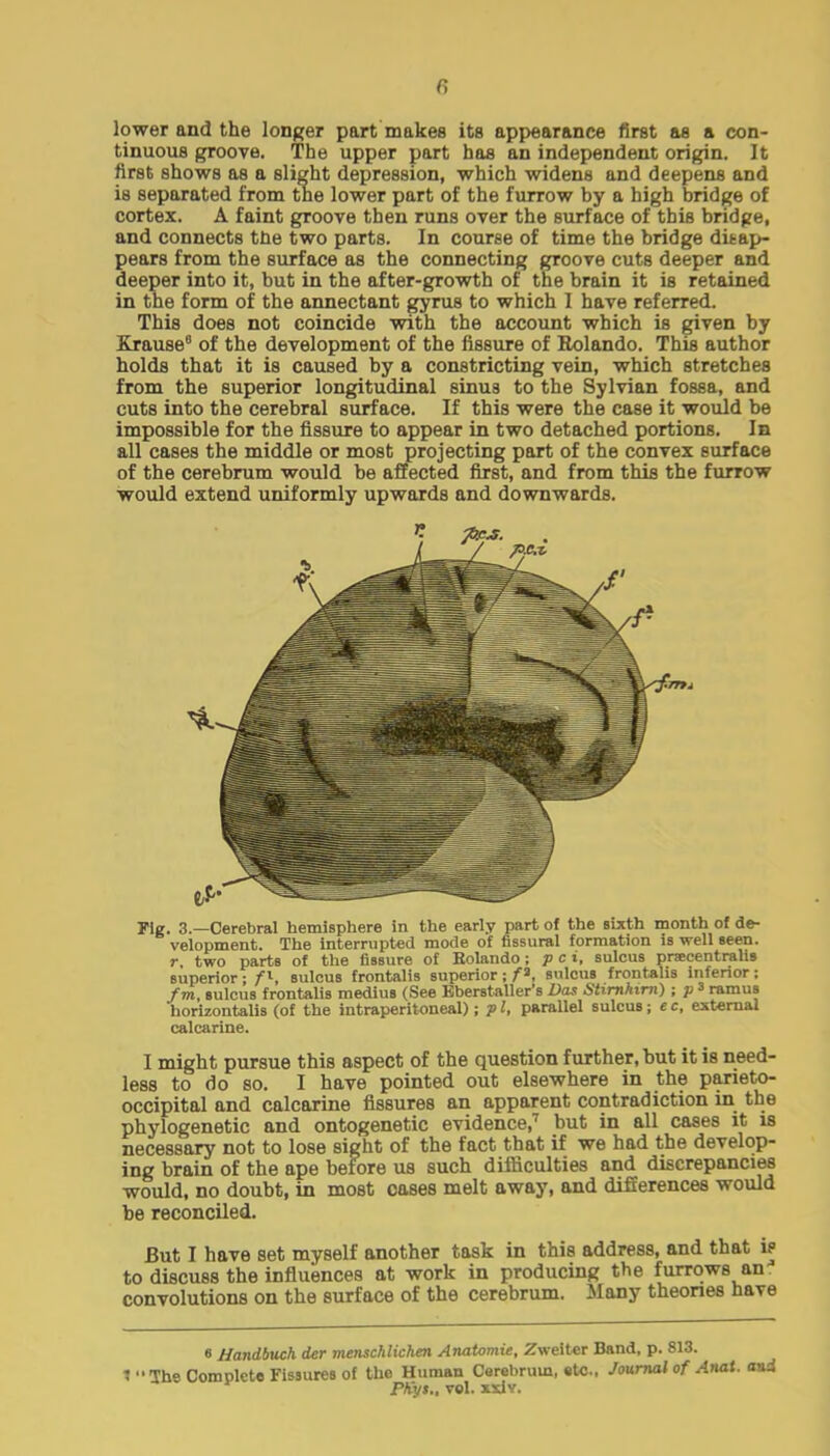 lower and the longer part makes its appearance first as a con- tinuous groove. The upper part has an independent origin. It first shows as a slight depression, which widens and deepens and is separated from the lower part of the furrow by a high bridge of cortex. A faint groove then runs over the surface of this bridge, and connects the two parts. In course of time the bridge disap- pears from the surface as the connecting groove cuts deeper and deeper into it, but in the after-growth of the brain it is retained in the form of the annectant gyrus to which I have referred. This does not coincide with the account which is given by Xrause of the development of the fissure of Rolando. This author holds that it is caused by a constricting vein, which stretches from the superior longitudinal sinus to the Sylvian fossa, and cuts into the cerebral surface. If this were the case it would be impossible for the fissure to appear in two detached portions. In all cases the middle or most projecting part of the convex surface of the cerebrum would be affected first, and from this the furrow would extend uniformly upwards and downwards. Fig. 3.—Cerebral hemisphere in the early part of the sixth month of de- velopment. The interrupted mode of fissural formation is well seen. r, two parts of the fissure of Eolando; p ci, sulcus pnecentralis superior j f\, sulcus frontalis superior; f1, sulcus frontalis inferior; fm, sulcus frontalis medius (See Eberstaller's Das Stirnhirn) ; p 3 ramuB horizontals (of the intraperitoneal); p I, parallel sulcus ; e c, external calcarine. I might pursue this aspect of the question further, but it is need- less to do so. I have pointed out elsewhere in the parieto- occipital and calcarine fissures an apparent contradiction in the phylogenetic and ontogenetic evidence,7 but in all cases it is necessary not to lose sight of the fact that if we had the develop- ing brain of the ape before us such difficulties and discrepancies would, no doubt, in most cases melt away, and differences would be reconciled. But I have set myself another task in this address, and that is to discuss the influences at work in producing the furrows an convolutions on the surface of the cerebrum. Many theories have 6 Handbuch der me?ischlichen Anatomic, Zweiter Band, p. 813. V'The Complete Fissures of the Human CBrel.rum, «tc., Journal of Anal. PKyt.. vol. xxiv.