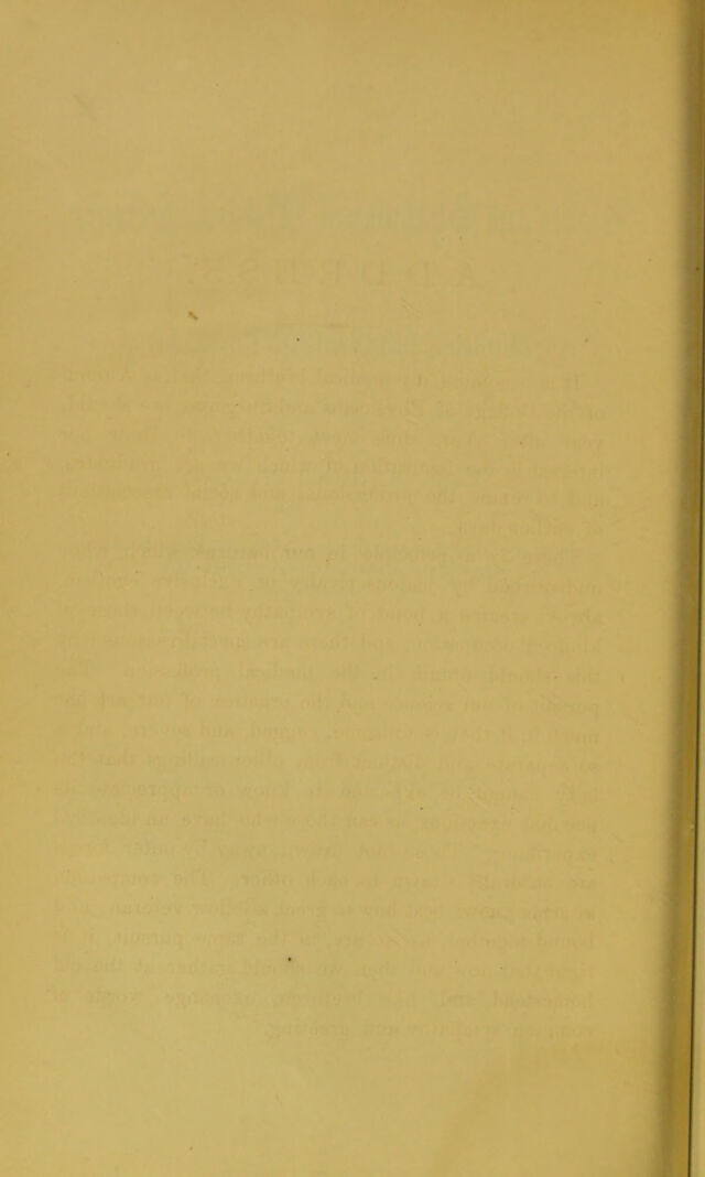 digitised image 2