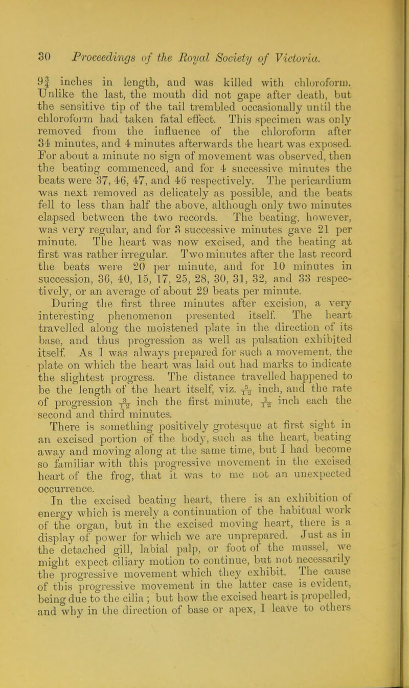 9f inches in length, and was killed with chlurofonn. Unlike the last, the mouth did not gape after death, but the sensitive tip of the tail trembled occasionally until the chloroform had taken fatal efiect. This specimen was only removed from the influence of the chloroform after 84- minutes, and -t minutes afterwards the heart was exposed. For about a minute no sign of movement was observed, then the beating commenced, and for 4 successive minutes the beats were 37, 46, 47, and 46 respectively. The pericardium was next removed as delicately as possible, and the beats fell to less than half the above, although only two minutes elapsed between the two records. The beating, however, was very regular, and for 8 successive minutes ga^'e 21 per minute. The heart was now excised, and the beating at first was rather irregiQar. Two minutes after the last record the beats were 20 per minute, and for 10 minutes in succession, 3C, 40, 15, 17, 25, 28, 30, 31, 32, and 33 respec- tively, or an average of about 29 beats per minute. During the first three minutes after excision, a very inteiesting phenomenon presented itself. The heart travelled along the moistened plate in the direction of its base, and thus ])rogression as well as pulsation exhibited itself. As I was always prepared for such a movement, the plate on which the heart was laid out had marks to indicate the slightest progress. The distance travelled happened to be the length of the heart itself, viz. -{^ inch, and the rate of progression j% inch the first miinite, ^ inch each the second and third minutes. There is something positively grotesque at first sight in an excised portion of the body, such as the heart, beating away and moving along at the same time, but I had become so familiar with this progressive movement in the excised heart of the frog, that it was to me not an unexpected occurrence. In the excised beating heart, there is an exhibition of energy which is merely a continuation of the habitual Avork of the organ, but in the excised moving heart, there is a display of power for which we are unprepared. Just as in the detached gill, labial palp, or foot of the mussel, we might expect ciliary motion to continue, but not necessarily the progressive movement which they exhibit. The cause of this progressive movement in the latter case is evident, being due to the cilia ; but how the excised heart is propelled, and why in tlie direction of base or apex, I leave to others