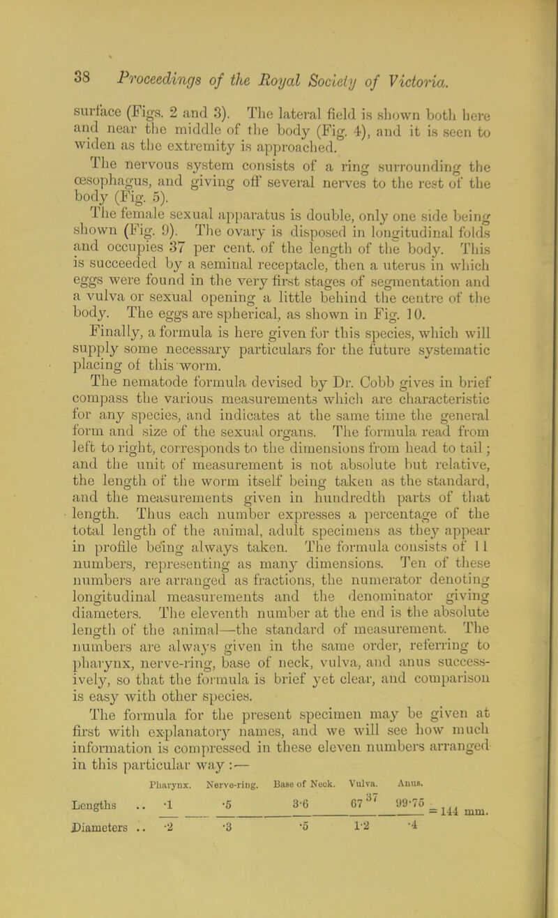 surface (Figs. 2 and 3). The lateral field i s shown both here and near the middle of the body (Fig. 4), and it is seen to widen as the extremity is approached. The nervous system consists of a ring surrounding the oesophagus, and giving oft* several nerves to the rest of the body (Fig. 5). The female sexual apparatus is double, only one side being shown (Fig. 9). The ovary is disposed in longitudinal folds and occupies 37 per cent, of the length of the body. This is succeeded by a seminal receptacle, then a uterus in which eggs were found in the very first stages of segmentation and a vulva or sexual opening a little behind the centre of the body. The eggs are spherical, as shown in Fig. 10. Finally, a formula is here given for this species, which will supply some necessary particulars for the future systematic placing of this worm. The nematode formula devised by Dr. Cobb gives in brief compass the various measurements which are characteristic for any species, and indicates at the same time the general form and size of the sexual organs. The formula read from left to right, corresponds to the dimensions from head to tail; and the unit of measurement is not absolute but relative, the length of the worm itself being taken as the standard, and the measurements given in hundredth parts of that length. Thus each number expresses a percentage of the total length of the animal, adult specimens as they appear in profile being always taken. The formula consists of 11 numbers, representing as many dimensions. Ten of these numbers are arranged as fractions, the numerator denoting longitudinal measurements and the denominator giving diameters. The eleventh number at the end is the absolute length of the animal—the standard of measurement. The numbers are always given in the same order, referring to pharynx, nerve-ring, base of neck, vulva, and anus success- ively, so that the formula is brief yet clear, and comparison is easy with other species. The formula for the present specimen may be given at first with explanatory names, and we will see how much information is compressed in these eleven numbers arranged in this particular way : — Pharynx. Nervo-ring. Bnso of Neck. Vulva. Aims. Lengths j5_ 3^6 67 37 ^ = Uimm Diameters .'. '2 -3 -o 12 '4