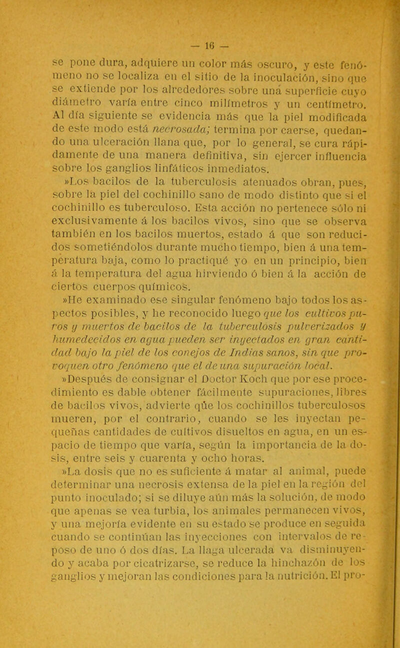se pone dura, adquiere un color más oscuro, y este fenó- meno no se localiza en el sitio de la inoculación, sino que se extiende por los alrededores sobre una superficie cuyo diámetro varía entre cinco milímetros y un centímetro. Al día siguiente se evidencia más que la piel modificada de este modo está necrosada; termina por caerse, quedan- do una ulceración llana que, por lo general, se cura rápi- damente de una manera definitiva, sin ejercer influencia sobre los ganglios linfáticos inmediatos. ))Los bacilos de la tuberculosis atenuados obran, pues, sobre la piel del cochinillo sano de modo distinto que si el cochinillo es tuberculoso. Esta acción no pertenece sólo ni exclusivamente á los bacilos vivos, sino que se observa también en los bacilos muertos, estado á que son reduci- dos sometiéndolos durante mucho tiempo, bien á una tem- peratura baja, como lo practiqué yo en un principio, bien á la temperatura del agua hirviendo ó bien á la acción de ciertos cuerpos químicos. »He examinado ese singular fenómeno bajo todos los as- pectos posibles, y he reconocido luego que los cultivos pu- ros y muertos de bacilos de la tuberculosis pulverizados y humedecidos en agua pueden ser inyectados en gran canti- dad bajo la piel de los conejos de Indias sanos, sin que pro- voquen otro fenómeno que el de una supuración local. «Después de consignar el Doctor Koch que por ese proce- dimiento es dable obtener fácilmente supuraciones, libres de bacilos vivos, advierte qüe los cochinillos tuberculosos mueren, por el contrario, cuando se les inyectan pe- ciueñas cantidades de cultivos disueltos en agua, en un es- pacio de tiempo que varía, según la importancia de la do- sis, entre seis y cuarenta y ocho horas. »La dosis que no es suficiente á matar al animal, puede determinar una necrosis extensa de la piel en la región del punto inoculado; si se diluye aún más la solución, de modo que apenas se vea turbia, los animales permanecen vivos, y una mejoría evidente en su estado se produce en seguida cuando se continúan las inyecciones con intervalos de re- poso de uno ó dos días. La llaga ulcerada va disminuyen- do y acaba por cicatrizarse, se reduce la hinchazón de los ganglios y mejoran las condiciones para la nutrición. El pro-