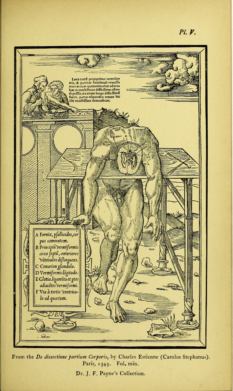 From the De dissectione partium Corporis, by Charles Estienne (Carolus Stephanus). Paris, 1545. Fol. min.