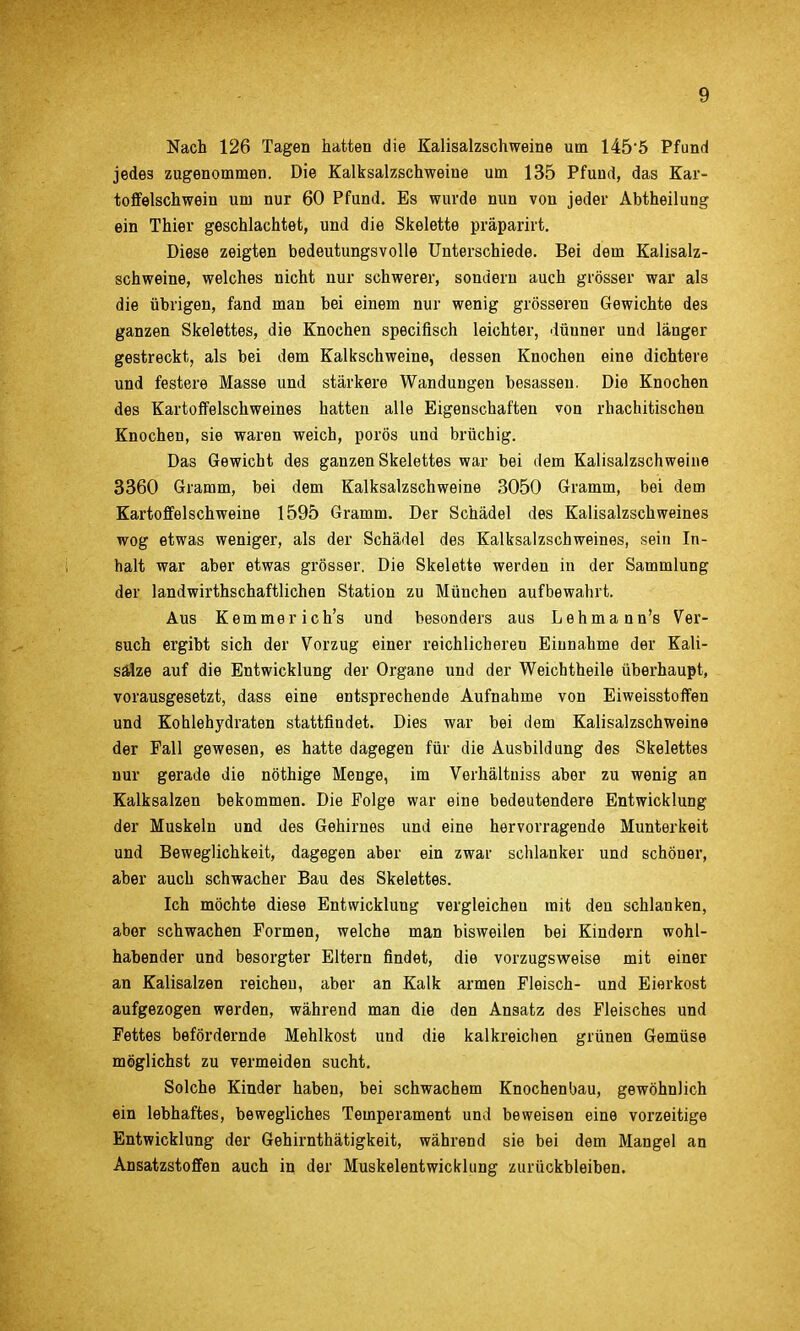 Nach 126 Tagen hatten die Kalisalzschweine um 1455 Pfund jedes zugenommen. Die Kalksalzschweine um 135 Pfund, das Kar- toffelschwein um nur 60 Pfund. Es wurde nun von jeder Abtheilung ein Thier geschlachtet, und die Skelette präparirt. Diese zeigten bedeutungsvolle Unterschiede. Bei dem Kalisalz- schweine, welches nicht nur schwerer, sondern auch grösser war als die übrigen, fand man bei einem nur wenig grösseren Gewichte des ganzen Skelettes, die Knochen specifisch leichter, dünner und länger gestreckt, als bei dem Kalkschweine, dessen Knochen eine dichtere und festere Masse und stärkere Wandungen besasseu. Die Knochen des Kartoffelschweines hatten alle Eigenschaften von rhachitischen Knochen, sie waren weich, porös und brüchig. Das Gewicht des ganzen Skelettes war bei dem Kalisalzschweine 3360 Gramm, bei dem Kalksalzschweine 3050 Gramm, bei dem Kartoffel Schweine 1595 Gramm. Der Schädel des Kalisalzschweines wog etwas weniger, als der Schädel des Kalksalzschweines, sein In- halt war aber etwas grösser. Die Skelette werden in der Sammlung der landwirthschaftlichen Station zu München aufbewahrt. Aus Kemmerich's und besonders aus Lehma nn's Ver- such ergibt sich der Vorzug einer reichlicheren Einnahme der Kali- sälze auf die Entwicklung der Organe und der Weichtheile überhaupt, vorausgesetzt, dass eine entsprechende Aufnahme von Eiweisstoffen und Kohlehydraten stattfindet. Dies war bei dem Kalisalzschweine der Fall gewesen, es hatte dagegen für die Ausbildung des Skelettes nur gerade die nöthige Menge, im Verhältuiss aber zu wenig an Kalksalzen bekommen. Die Folge war eine bedeutendere Entwicklung der Muskeln und des Gehirnes und eine hervorragende Munterkeit und Beweglichkeit, dagegen aber ein zwar sclilanker und schöner, aber auch schwacher Bau des Skelettes. Ich möchte diese Entwicklung vergleichen mit den schlanken, aber schwachen Formen, welche man bisweilen bei Kindern wohl- habender und besorgter Eltern findet, die vorzugsweise mit einer an Kalisalzen reichen, aber an Kalk armen Fleisch- und Eierkost aufgezogen werden, während man die den Ansatz des Fleisches und Fettes befördernde Mehlkost und die kalkreichen grünen Gemüse möglichst zu vermeiden sucht. Solche Kinder haben, bei schwachem Knochenbau, gewöhnlich ein lebhaftes, bewegliches Temperament und beweisen eine vorzeitige Entwicklung der Gehirnthätigkeit, während sie bei dem Mangel an Ansatzstoffen auch in der Muskelentwicklung zurückbleiben.