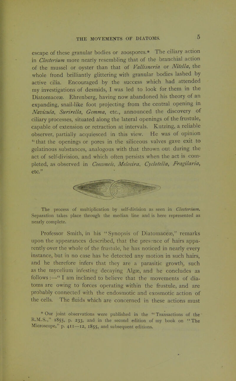 escape of these granular bodies or zoospores.* The ciUary action in Closterium more nearly resembling that of the brancliial action of the mussel or oyster than that of Vallisneria or Mtella, the whole frond brilliantly glittering with granular bodies lashed by active cilia. Encouraged by the success which had attended my investigations of desmids, I was led to look for them in the Diatomaceae. Ehrenberg, having now abandoned his theory of an expanding, snail-like foot projecting from the central opening in Navicula, Surirella, Gemma, etc., announced the discovery of ciliary processes, situated along the lateral openings of the frustule, capable of extension or retraction at intervals. Kutzing, a reliable observer, partially acquiesced in this view. He was of opinion  that the openings or pores in the siliceous valves gave exit to gelatinous substances, analogous with that thrown out during the act of self-division, and which often persists when the act is com- pleted, as observed in Coeconeis, Melosira, Cyclotella, Fragilaria, etc. The process of multiplication by self-division as seen in Closterium, Separation takes place through the median line and is here represented as nearly complete. Professor Smith, in his Synopsis of Diatoraacece, remarks upon the appearances described, that the presence of hairs appa- rently over the whole of the frustule, he has noticed in nearly every instance, but in no case has he detected any motion in such hairs, and he therefore infers that they are a parasitic growth, such as the mycelium infesting decaying Algae, and he concludes as follows:— I am inclined to believe that the movements of dia- toms are owing to forces operating within the frustule, and are probably connected with the endosniotic and exosmotic action of the cells. The fluids which are concerned in these actions must * Our joint observations were published in the Transactions of the R.M.S., 1855, P- 233, and in the second edition of my book on The Microscope, p. 411—12, 1855, and subsequent editions.