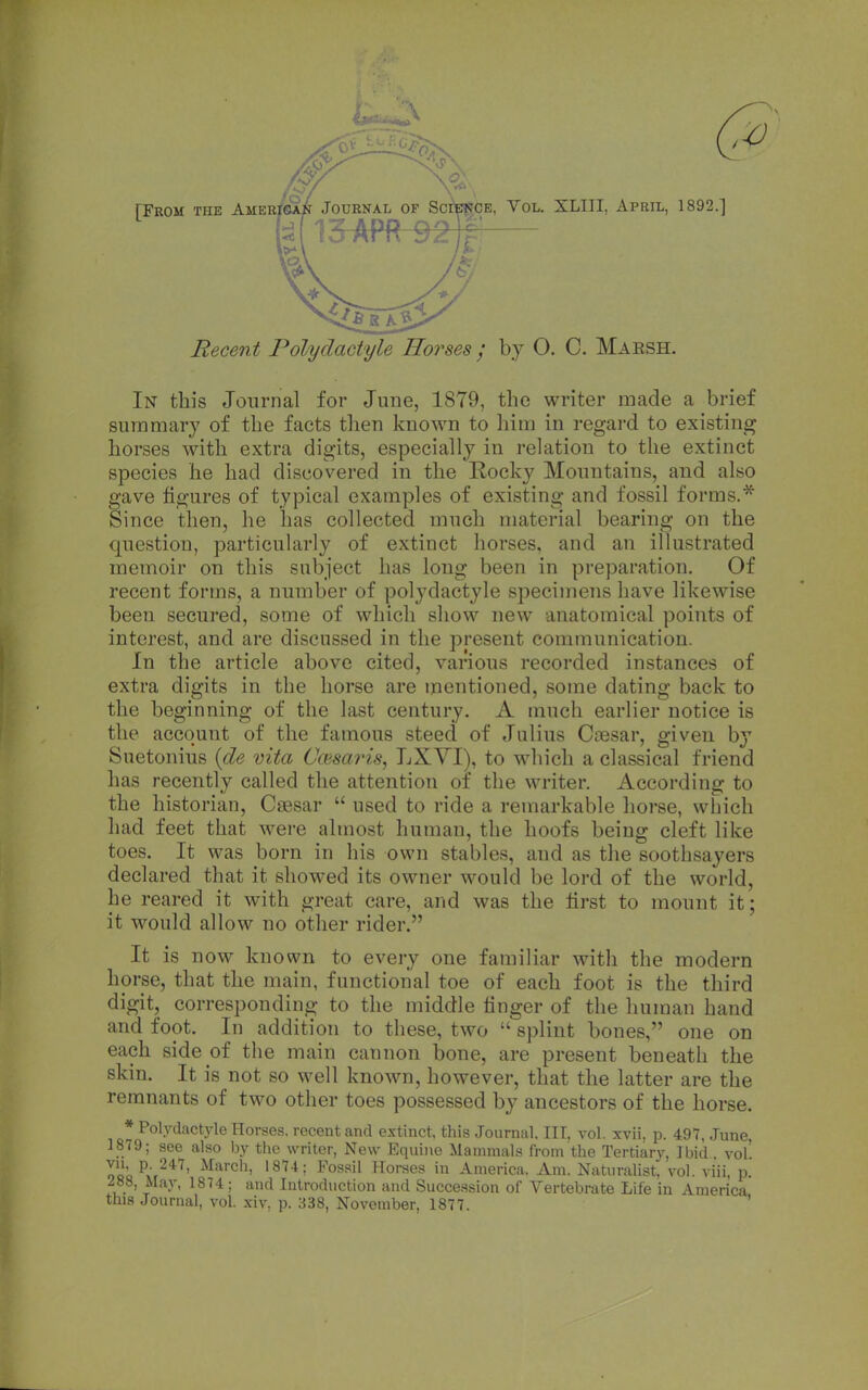 Recent Polydactyle ffo7'ses ; by O. C. Maesh. In this Journal for June, 1879, the writer made a brief summary of the facts then known to him in regard to existing horses with extra digits, especially in relation to the extinct species he had discovered in the Rocky Mountains, and also gave figures of typical examples of existing and fossil forms.* Since then, he has collected much material bearing on the question, particularly of extinct horses, and an illustrated memoir on this subject has long been in preparation. Of recent forms, a number of polydactyle specimens have likewise been secured, some of which show new anatomical points of interest, and are discussed in the present communication. In the article above cited, various recorded instances of extra digits in the horse are mentioned, some dating back to the beginning of the last century. A much earlier notice is the account of the famous steed of Julius Cresar, given b}' Suetonius {de vita Cwsaris, LXYI), to which a classical friend has recently called the attention of the writer. According to the historian, Caesar  used to ride a remarkable horse, which had feet that were almost human, the hoofs being cleft like toes. It was born in his own stables, and as the soothsayers declared that it showed its owner would be lord of the world, he reared it with great care, and was the iirst to mount it; it would allow no other rider. It is now known to every one familiar with the modern horse, that the main, functional toe of each foot is the third digit, corresponding to the middle linger of the human hand and foot. In addition to these, two  splint bones, one on each side of the main cannon bone, are present beneath the skin. It is not so well known, however, that the latter are the remnants of two other toes possessed by ancestors of the horse. * Polydactyle Horses, recent and extinct, this Journal. III. vol. xvii, p. 497, June, 1879; see also by the writer, New Equine Mammals from the Tertiary, Ibid, vol' r^L^xr^*''' Horses in America. Am. Naturalist, vol. viii, p. ^88, May, 1874; and Introduction and Succession of Vertebrate Life in America this Journal, vol. xiv, p. 338, November, 1877. '