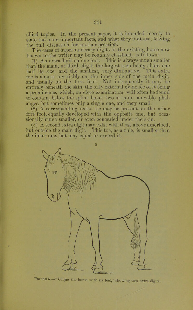 allied topics. In the present paper, it is intended merely to state the more important facts, and what they indicate, leaving the full discussion for another occasion. The cases of supernumerary digits in the existing horse now known to the writer may be roughly classified, as follows: (1) An extra digit on one foot. This is always much smaller than the main, or third, digit, the largest seen being about one half its size, and the smallest, very diminutive. This extra toe is almost invariably on the inner side of the main digit, and usually on the fore foot. Not infrequently it may be entirely beneath the skin, the only external evidence of it being a prominence, which, on close examination, will often be found to contain, below the splint bone, two or more movable phal- anges, but sometimes only a single one, and very small. (2) A corresponding extra toe may be present on the other fore foot, equally developed with the opposite one, but occa- sionally much smaller, or even concealed under the skin. (3) A second extra digit may exist with those above described,, but outside the main digit. This toe, as a rule, is smaller than the inner one, but may equal or exceed it. 5