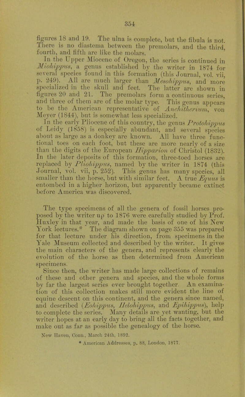 figures 18 and 19. The ulna is complete, but tlie libula is not. There is no diastema between the premohirs, and the thirdj fourth, and fiftli are like the molars. ' In the Upper Miocene of Orej^on, the series is continued in Miohijjjnis, a genus established by the writer in 1874 for several species found in this formation (this Journal, vol. vii, p. 249). All are much larger than MemldjpimH, and more specialized in the skull and feet. The latter are shown in figures 20 and 21. The premolars form a continuous series, and three of them are of the molar type. This genus appears to be the American representative of Anchithemim, von Meyer (1844), but is somewhat less specialized. In the early Pliocene of this country, the genus Protohippus of Leidy (1858) is especially abundant, and several species about as large as a donkey are known. All have three func- tional toes on each foot, but these are more nearly of a size than the digits of the European Ilipparion of Christol (1832). In the later deposits of this formation, three-toed horses are replaced by Pliohippus^ named by the writer in 1874 (this Journal, vol. vii, p. 252). This genus has many species, all smaller than the horse, but with similar feet. A true Ec[uus is entombed in a higher horizon, but apparently became extinct before America was discovered. The type specimens of all the genera of fossil horses pro- posed by the writer up to 1876 were carefully studied by Prof. Huxley in that year, and made the basis of one of his New York lectures.* The diagram shown on page 355 was prepared for that lecture under his direction, from specimens in the Yale Museum collected and described by the writer. It gives the main characters of the genera, and rejjresents clearly the evolution of the horse as then determined from American specimens. Since then, the writer has made large collections of remains of these and other genera and species, and the whole forms by far the largest series ever brought together. An examina- tion of this collection makes still more evident the line of equine descent on this continent, and the genera since named, and described {Eohippus, UeloMppus^ and Epihip2)us), help to complete the series. Many details are yet wanting, but the writer hopes at an early day to bring all the facts together, and make out as far as possible the genealogy of the horse. New HaveD, Conu., March 24th, 1892. * American Addresses, p. 88, London, 1877.