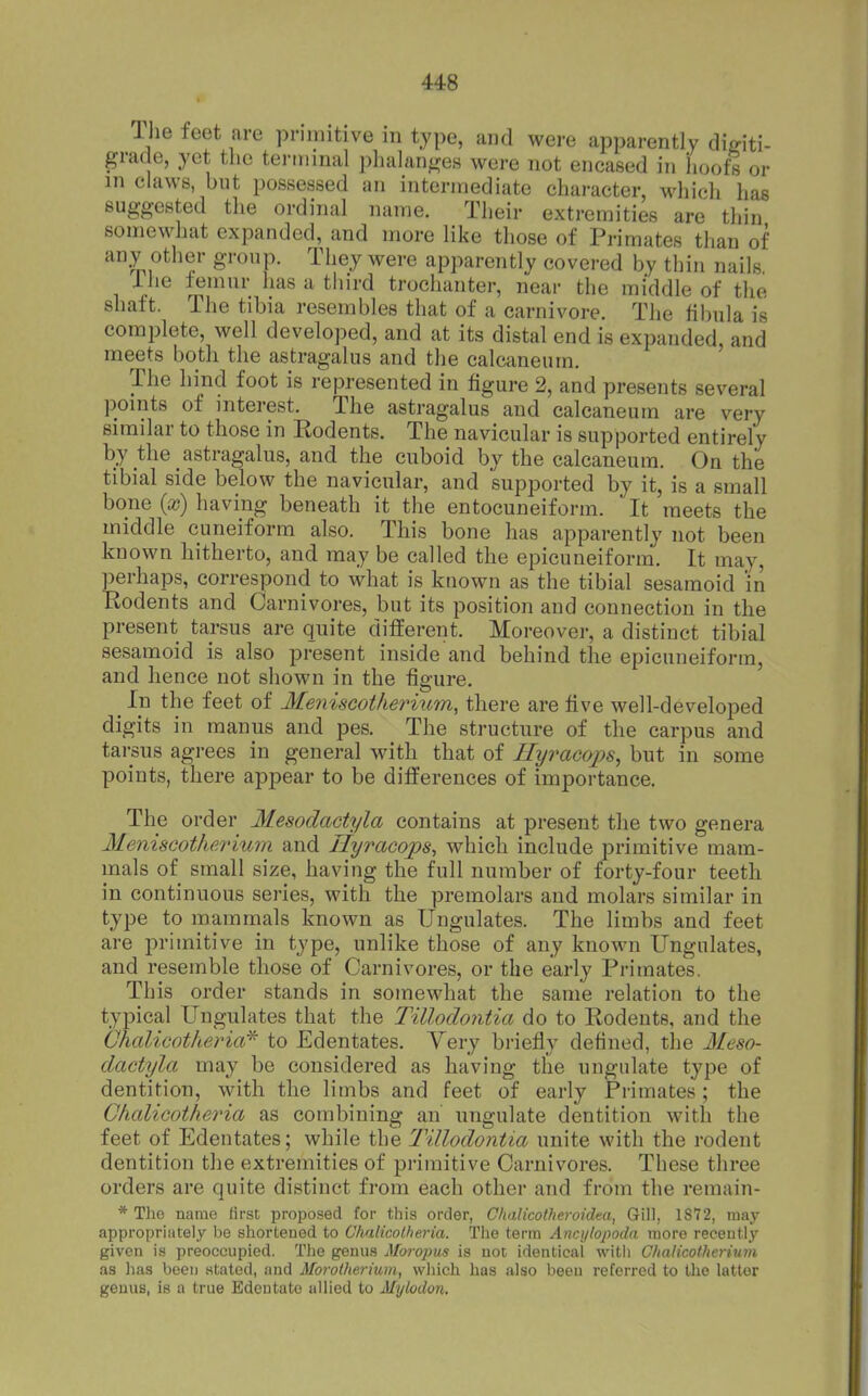 Ihe feet are pniiiitive in type, and were apparently diffiti- gra( e, yet tlie tei'inmal ])luilan^?es were not encased in lioofs or in claws, but possessed an intermediate character, whicli has suggested the ordinal name. Their extremities are thin somcMdiat expanded, and more like those of Primates than of any other group. They were apparently covered by thin nails Uie femur has a third trochanter, near the middle of the shaft. The tibia resembles that of a carnivore. The fll)ula is complete, well developed, and at its distal end is expanded, and meets both the astragalus and the calcaneum. The hind foot is represented in figure 2, and presents several points of interest. The astragalus and calcaneum are very similar to those in Rodents. The navicular is supported entirely by the astragalus, and the cuboid by the calcaneum. On the tibial side below the navicular, and supported by it, is a small bone {x) having beneath it the entocuneiform. It meets the middle cuneiform also. This bone has apparently not been kn own hitherto, and may be called the epicuneiforra. It may perhaps, correspond to what is known as the tibial sesamoid in Rodents and Carnivores, but its position and connection in the present tarsus are quite different. Moreover, a distinct tibial sesamoid is also present inside and behind the epicuneiform, and hence not shown in the figure. _ In the feet of Meniscotherium, there are five well-developed digits in raanus and pes. The structure of the carpus and tarsus agrees in general with that of Hyracops^ but in some points, there appear to be differences of importance. The order Mesodaotyla contains at present the two genera Meniscotherium and liyracojps, which include primitive mam- mals of small size, having the full number of forty-four teeth in continuous series, with the premolars and molars similar in type to mammals known as Ungulates. The limbs and feet are primitive in type, unlike those of any known Ungulates, and resemble those of Carnivores, or the early Primates. This order stands in somewhat the same relation to the typical Ungulates that the Tillodontia do to Rodents, and the OhalicothericV^ to Edentates. Yery briefly defined, tlie Meso- dactyla may be considered as having the ungulate type of dentition, with the limbs and feet of early Primates ; the Chalicotheria as combining an ungulate dentition with the feet of Edentates; while the Tillodontia unite with the rodent dentition the extremities of primitive Carnivores. These three orders are quite distinct from each other and from the remain- * The name first proposed for this order, Chalicotheroidea, Gill, 1872, may appropriately be shortened to Chalicolheria. The term Ancylopoda more recently given is preoccupied. The genus Moropus is not identical witii Ghalicotherium as has been stated, and Moroiherium, which has also been referred to the latter genus, is a true Edentate allied to Myhdon.