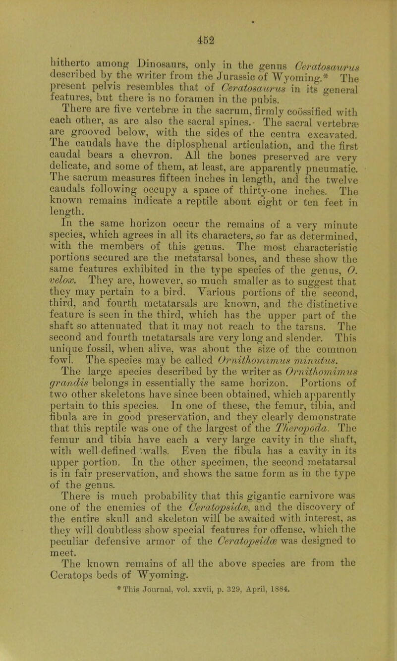 hitherto amon^,^ J3inosaurs, only in the genus Oeratosaurus dosenbecl by the writer from the Jurassic of Wyominj?.* The present pelvis resembles that of Ceratosauruis in its general features, but there is no foramen in the pubis. There are live vertebnx^ in the sacrum, firmly coossified with each other, as are also the sacral spines.- The saci-al vertebrjc are grooved below, with the sides of the centra excavated. The caudals have the diplosphenal articulation, and the first caudal bears a chevron. All the bones preserved are very delicate, and some of them, at least, are apparently pneumatic. The sacrum measures fifteen inches in length, and the twelve caudals following occupy a space of thirty-one inches. The known remains indicate a reptile about eight or ten feet in length. In the same horizon occur the remains of a very minute species, which agrees in all its characters, so far as determined, with the members of this genus. The most characteristic portions secured are the metatarsal bones, and these show the same features exhibited in the type species of the genus, 0. velox. They are, however, so much smaller as to suggest that they may pertain to a bird. Various portions of the second, third, and fourth metatarsals are known, and the distinctive feature is seen in the third, which has the upper part of the shaft so attenuated that it may not reach to the tarsus. The second and fourth metatarsals are very long and slender. This unique fossil, when alive, was about the size of the common fowl. The, species may be called OrniiJiomimxis ininutus. The large species described by the writer as Ornithomimiis gi'cvrtdis belongs in essentially the same horizon. Portions of two other skeletons have since been obtained, which apparently pertain to this species. In one of these, the femur, tibia, and fibula are in good preservation, and they clearly demonstrate that this reptile was one of the largest of the Therojyoda. The femur and tibia have each a very large cavity in the shaft, with well-defined -walls. Even the fibula has a cavity in its upper portion. In the other specimen, the second metatarsal is in fair preservation, and shows the same form as in the type of the genus. There is much probability that this gigantic carnivore was one of the enemies of the Geratopsidm, and the discovery of the entire skull and skeleton will be awaited with interest, as they will doubtless show special features for offense, which the peculiar defensive armor of the Ceratopsidm was designed to meet. The known remains of all the above species are from the Ceratops beds of Wyoming.