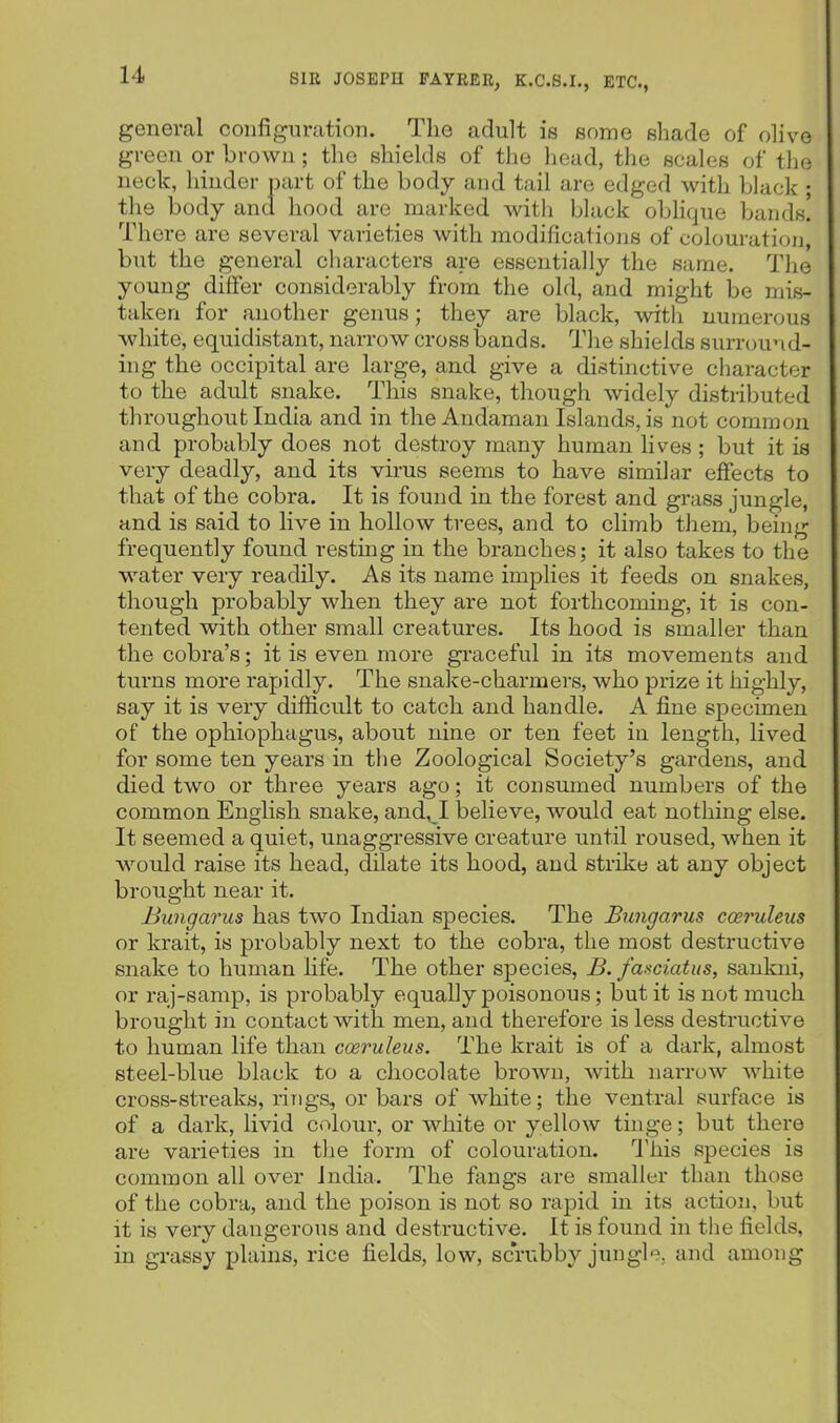 general configuration. The adult is some shade of olive green or brown; the shields of the head, the scales of tlie neck, hinder part of the body and tail are edged with black ; the body and hood are marked witli bkick obhque bands! There are several varieties with modifications of colouration, but the general characters are essentially the same. The young differ considerably from the old, and might be mis- taken for another genus; they are black, with numertjus white, equidistant, narrow cross bands. The shields surround- ing the occipital are large, and give a distinctive character to the adult snake. This snake, though widely distributed throughout India and in the Andaman Islands, is not common and probably does not destroy many human hves ; but it is very deadly, and its virus seems to have similar effects to that of the cobra. It is found in the forest and grass jungle, and is said to live in hollow trees, and to climb them, being frequently found resting in the branches; it also takes to the water very readily. As its name implies it feeds on snakes, though probably when they are not forthcoming, it is con- tented with other small creatures. Its hood is smaller than the cobra's; it is even more graceful in its movements and turns more rapidly. The snake-charmers, who prize it highly, say it is very difficult to catch and handle. A fine specimen of the ophiophagus, about nine or ten feet in length, lived for some ten years in the Zoological Society's gardens, and died two or three years ago; it consumed numbers of the common English snake, and,_I believe, would eat nothing else. It seemed a quiet, unaggressive creature until roused, when it would raise its head, dilate its hood, and strike at any object brought near it. Bungarus has two Indian species. The Bungarus coeruleus or krait, is probably next to the cobra, the most destructive snake to human life. The other species, B. fasciatus, sankni, or raj-samp, is probably equally poisonous; but it is not much brought in contact with men, and therefore is less destructive to human life than cceruleus. The krait is of a dark, almost steel-blue black to a chocolate brown, with narrow white cross-streaks, rings, or bars of white; the ventral surface is of a dark, livid colour, or white or yellow tinge; but there are varieties in the form of colouration. 1'his species is common all over India. The fangs are smaller than those of the cobra, and the poison is not so rapid in its action, but it is very dangerous and destructive. It is found in the fields, in grassy plains, rice fields, low, scrubby jungh\ and among