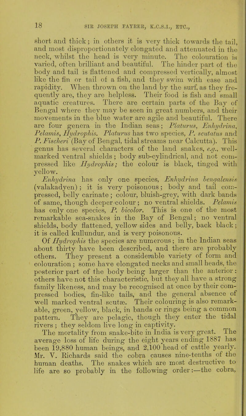 short and thick; in otlicrs it is very thick towards tke tail, and most disproportionately elongated and attenuated in the neck, whilst the head is very minute. The colouration is varied, often brilliant and beautiful. The hinder part of the body and tail is flattened and compressed vertically, almost like the fin or tail of a fish, and tJiey swim with ease and rapidity. When thrown on the land by the surf, as they fre- quently are, they are helpless. Their food is fish and small aquatic creatures. There are certain parts of the Bay of Bengal where they may be seen in great numbers, and their movements in the blue water are agile and beautiful. There are four genera in the Indian seas; Flaturus, Enliydrina, Pelamis, Hydrophis. Platurus has two species, P. scutatus and P. Fischeri (Bay of Bengal, tidal streams near Calcutta). This genus has several characters of the land snakes, e.g., well- marked ventral shields; body sub-cylindrical, and not com- pressed like Hydrophis; the colour is black, tinged with yellow. Enliydrina has only one species, Enhydrina hengalensis (valakadyen); it is very poisonous; body and tail com- pressed, belly carinate ; colour, bluish-grey, with dark bands of same, though deeper colour ; no ventral shields. Pelamis has only one species, P. hicolor. This is one of the most remarkable sea-snakes in the Bay of Bengal; no ventral shields, body flattened, yellow sides and belly, back black; it is called kullundur, and is very poisonous. Of Hydrophis the species are numerous; in the Indian seas about thirty have been described, and there are probably others. They present a considevable variety of form and colouration ; some have elongated necks and small heads, the posterior part of the body being larger than the anterior: others have not this characteristic, but they all have a strong family likeness, and may be recognised at once by their com- pressed bodies, fin-like tails, and the general absence of well marked ventral scuta3. Their colouring is also remark- able, green, yellow, black, in bands or rings being a common pattern. They are pelagic, though they enter the tidal rivers ; they seldom live long in captivity. The mortality from snake-bite in India is very great. The average loss of Hfe during the eight years ending 1887 has been 19,880 human beings, and 2,100 head of cattle yearly. Mr. V. Richards said the cobra causes nine-tenths pf the human deaths. The snakes which are most destructive to life are so probably in the following order:—the cobra,