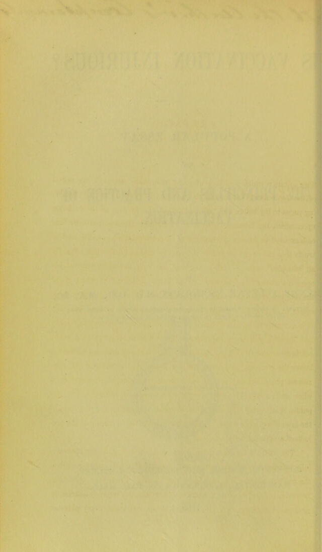 digitised image 2