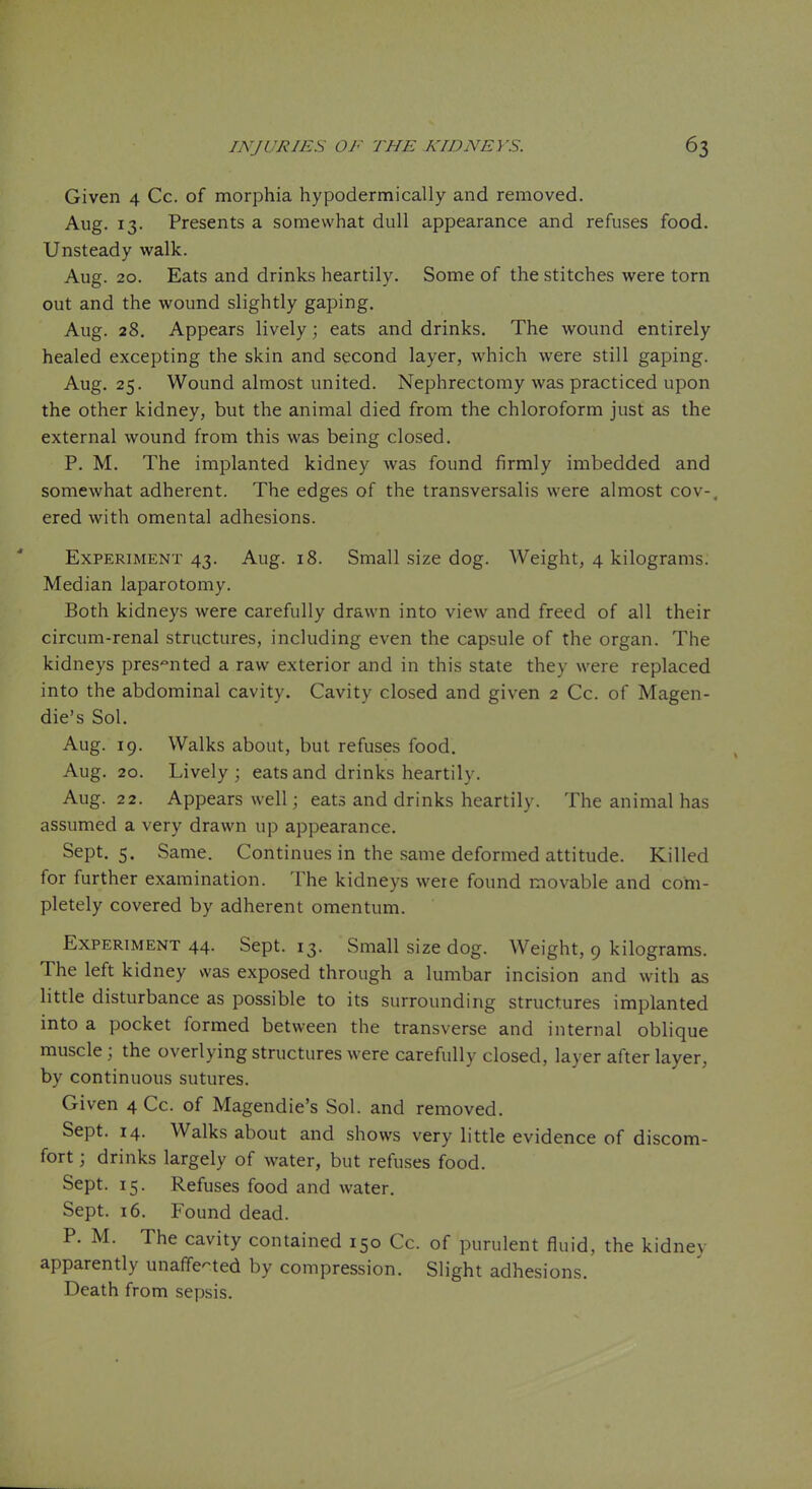 Given 4 Cc. of morphia hypodermically and removed. Aug. 13. Presents a somewhat dull appearance and refuses food. Unsteady walk. Aug. 20. Eats and drinks heartily. Some of the stitches were torn out and the wound slightly gaping. Aug. 28. Appears lively; eats and drinks. The wound entirely healed excepting the skin and second layer, which were still gaping. Aug. 25. Wound almost united. Nephrectomy was practiced upon the other kidney, but the animal died from the chloroform just as the external wound from this was being closed. P. M. The implanted kidney was found firmly imbedded and somewhat adherent. The edges of the transversalis were almost cov-, ered with omental adhesions. Experiment 43. Aug. 18. Small size dog. Weight, 4 kilograms. Median laparotomy. Both kidneys were carefully drawn into view and freed of all their circum-renal structures, including even the capsule of the organ. The kidneys presented a raw exterior and in this state they were replaced into the abdominal cavity. Cavity closed and given 2 Cc. of Magen- die's Sol. Aug. 19. Walks about, but refuses food. Aug. 20. Lively; eats and drinks heartily. Aug. 22. Appears well; eats and drinks heartily. The animal has assumed a very drawn up appearance. Sept. 5. Same. Continues in the same deformed attitude. Killed for further examination. The kidneys weie found movable and com- pletely covered by adherent omentum. Experiment 44. Sept. 13. Small size dog. Weight, 9 kilograms. The left kidney was exposed through a lumbar incision and with as little disturbance as possible to its surrounding structures implanted into a pocket formed between the transverse and internal oblique muscle; the overlying structures were carefully closed, layer after layer, by continuous sutures. Given 4 Cc. of Magendie's Sol. and removed. Sept. 14. Walks about and shows very little evidence of discom- fort ; drinks largely of water, but refuses food. Sept. 15. Refuses food and water. Sept. 16. Found dead. P. M. The cavity contained 150 Cc. of purulent fluid, the kidney apparently unaffected by compression. Slight adhesions. Death from sepsis.