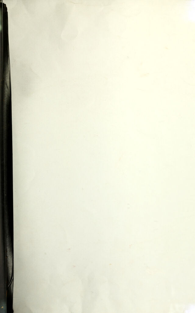 digitised image 1